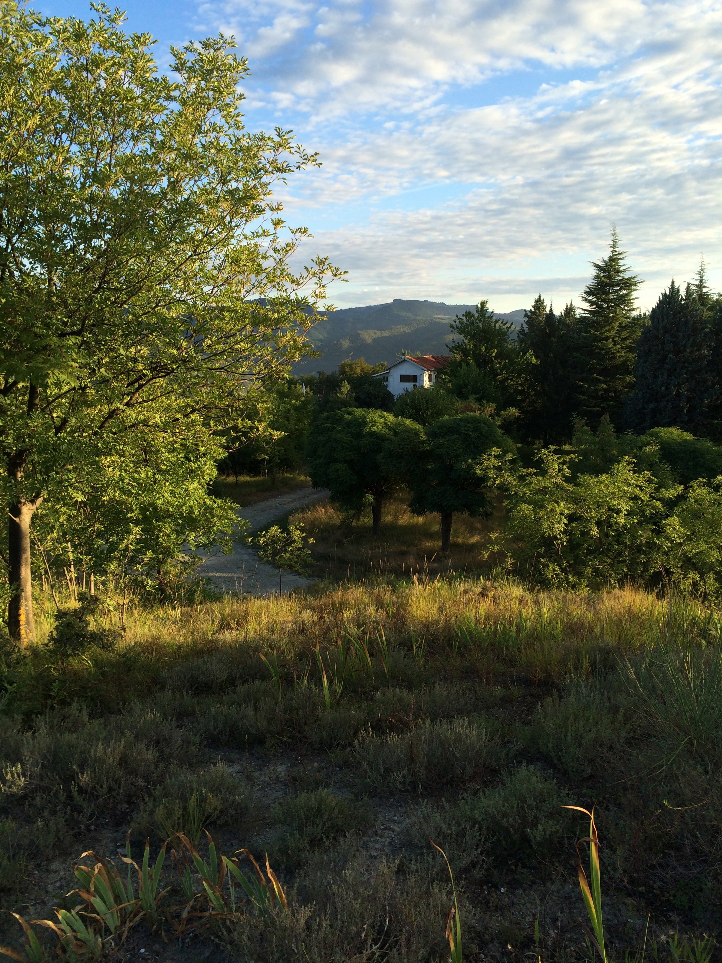 Naturhäuschen in Merana