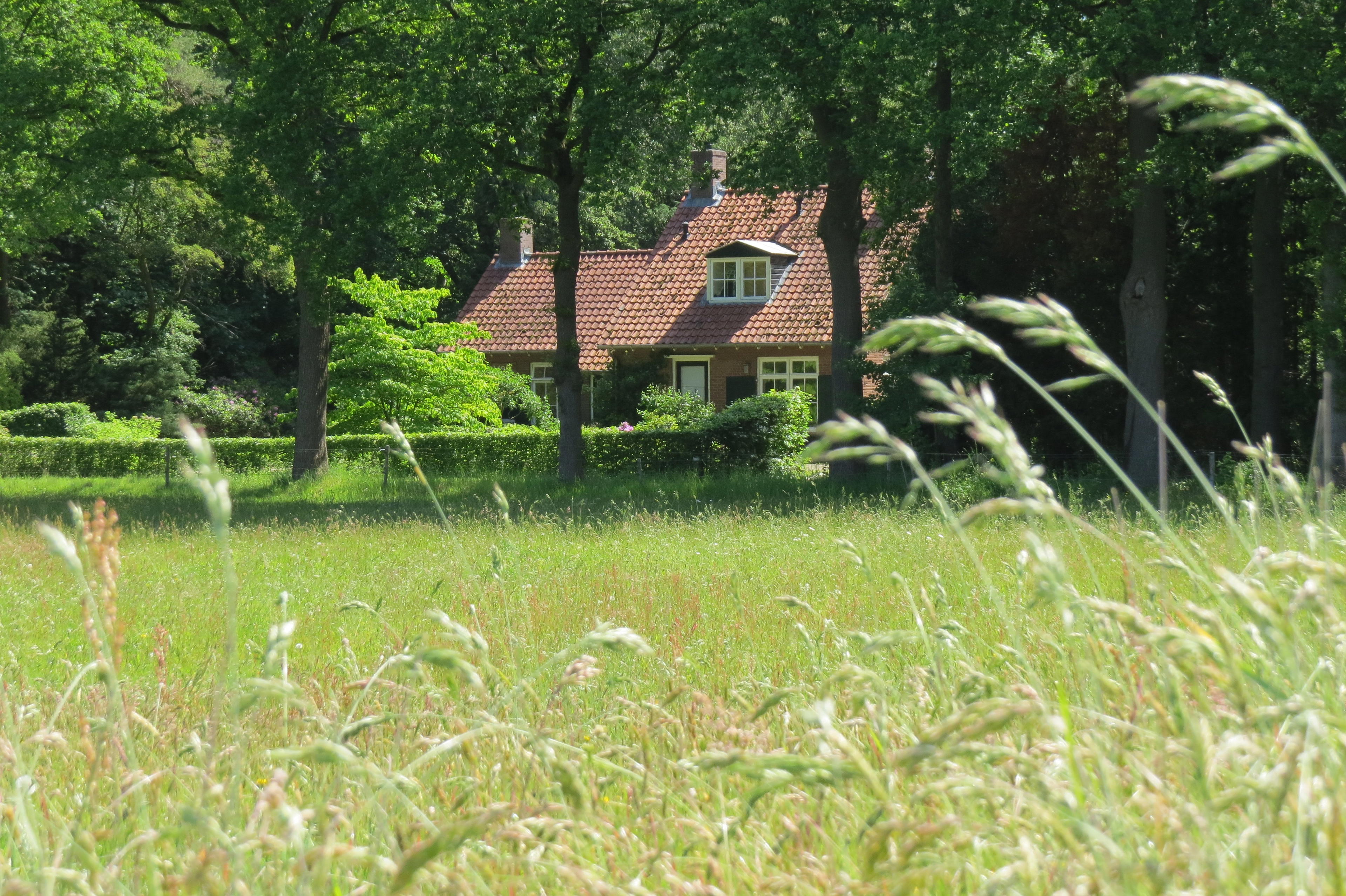 Natuurhuisje in Vorden