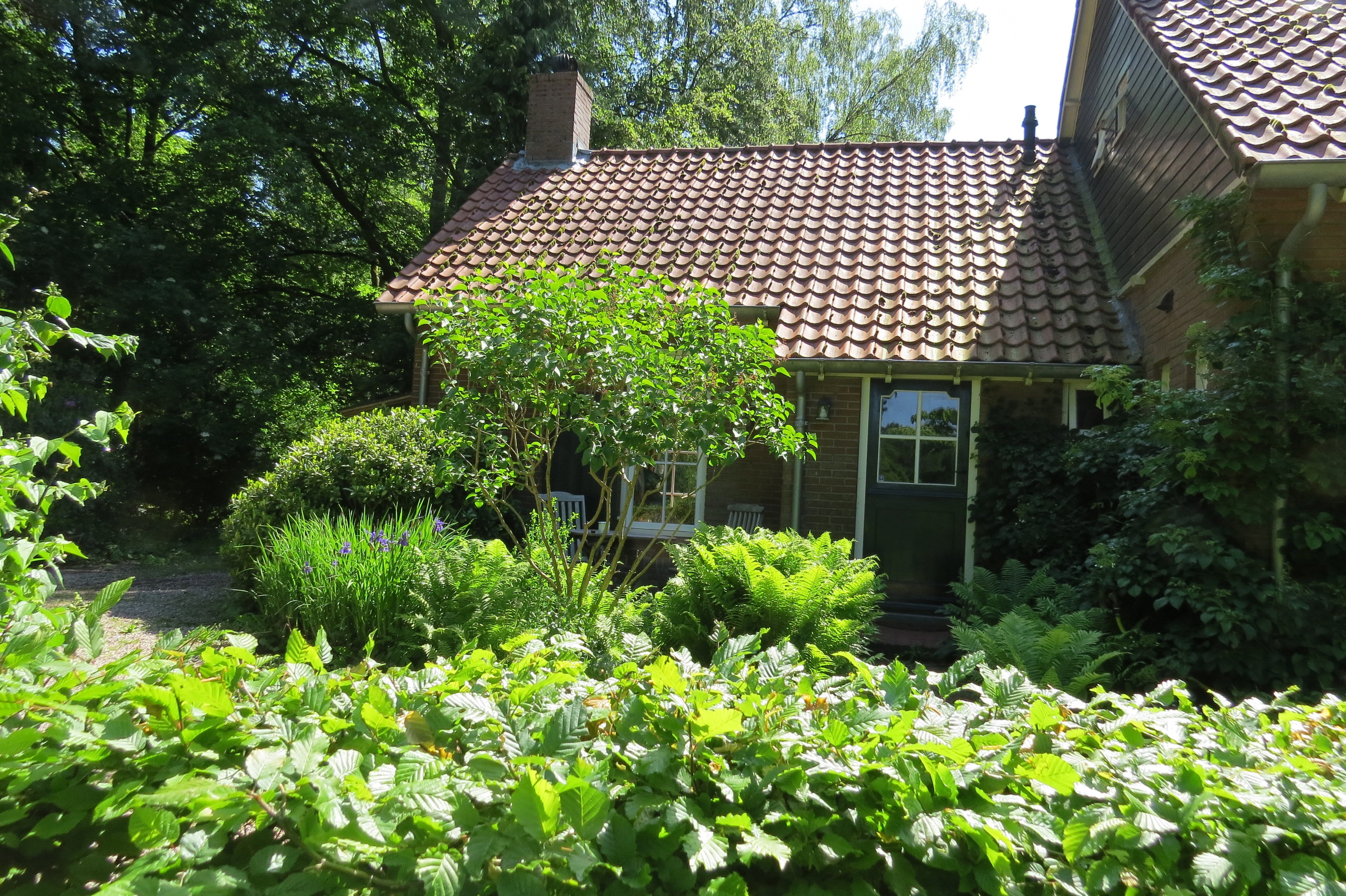 Maison nature à Vorden