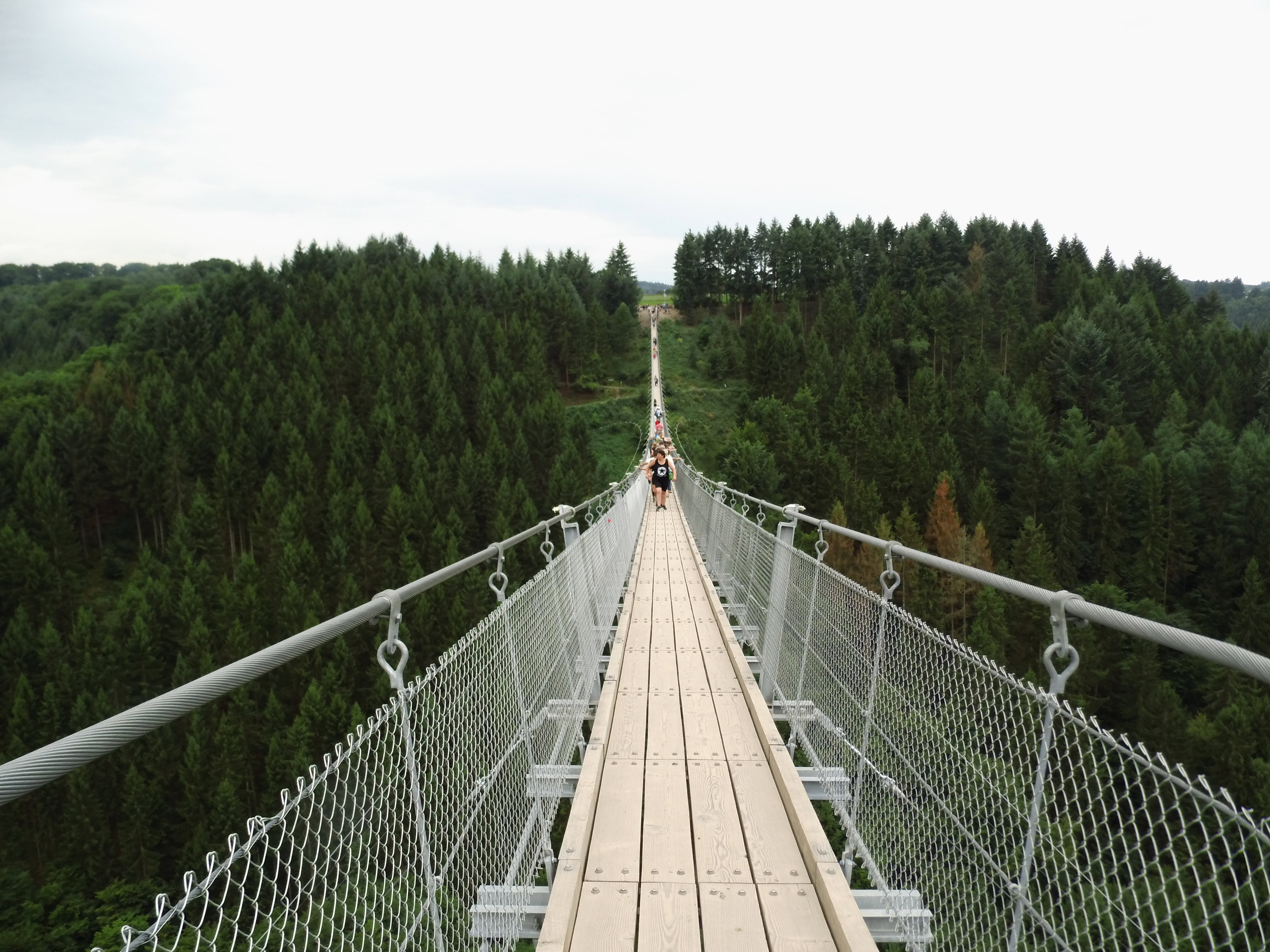 - image: 13