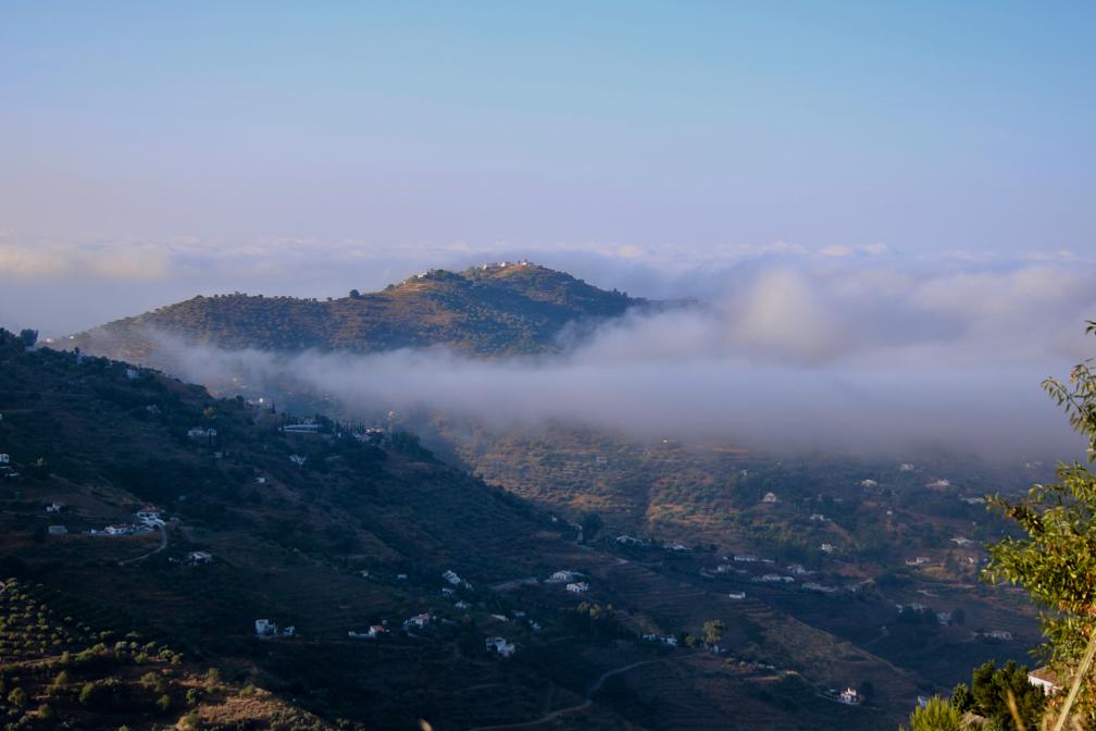 - image: 12