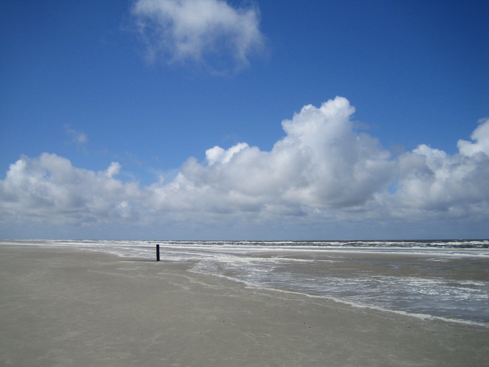 - image: 12