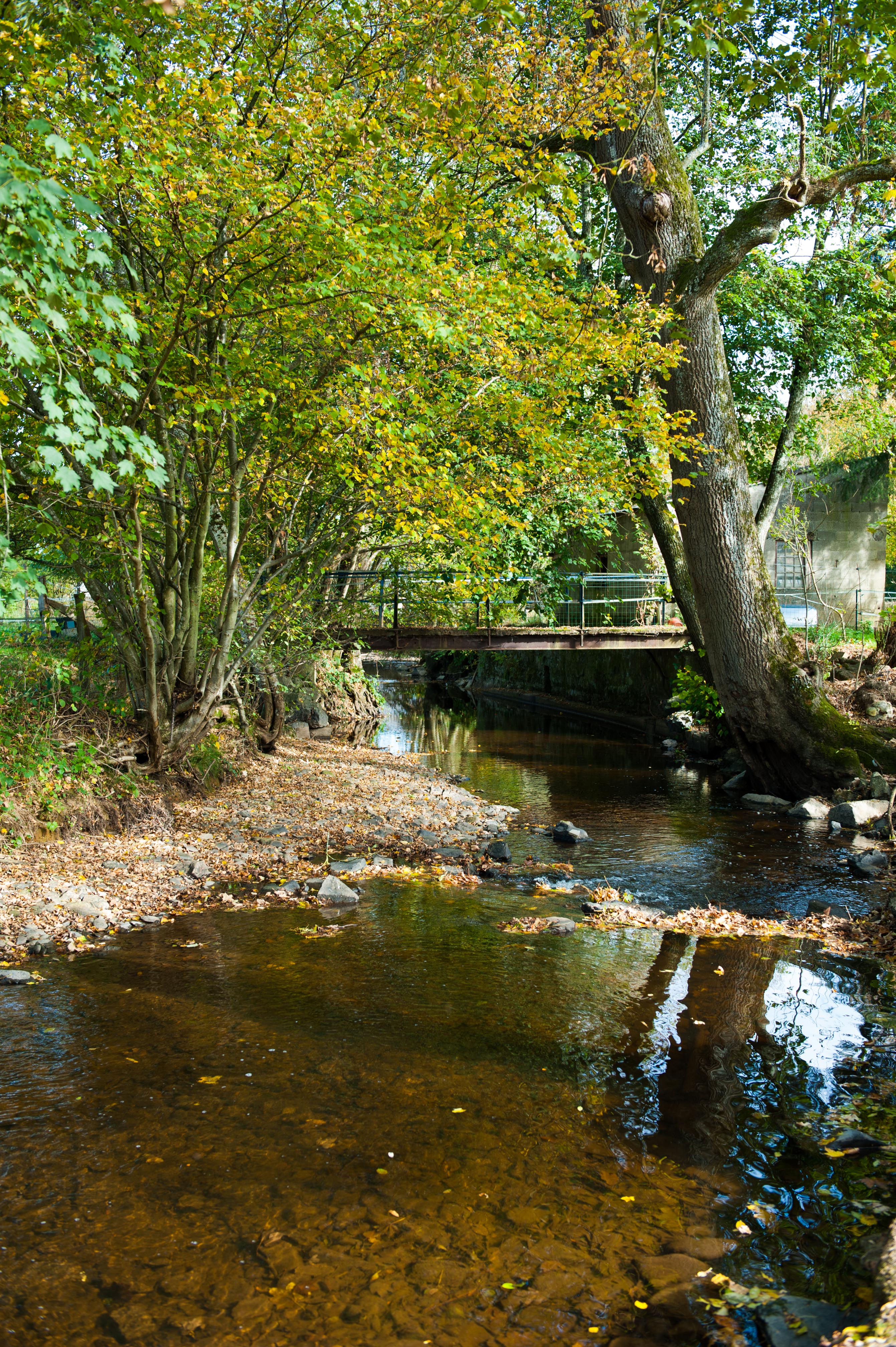 Naturhäuschen in Fanzel/Erezée