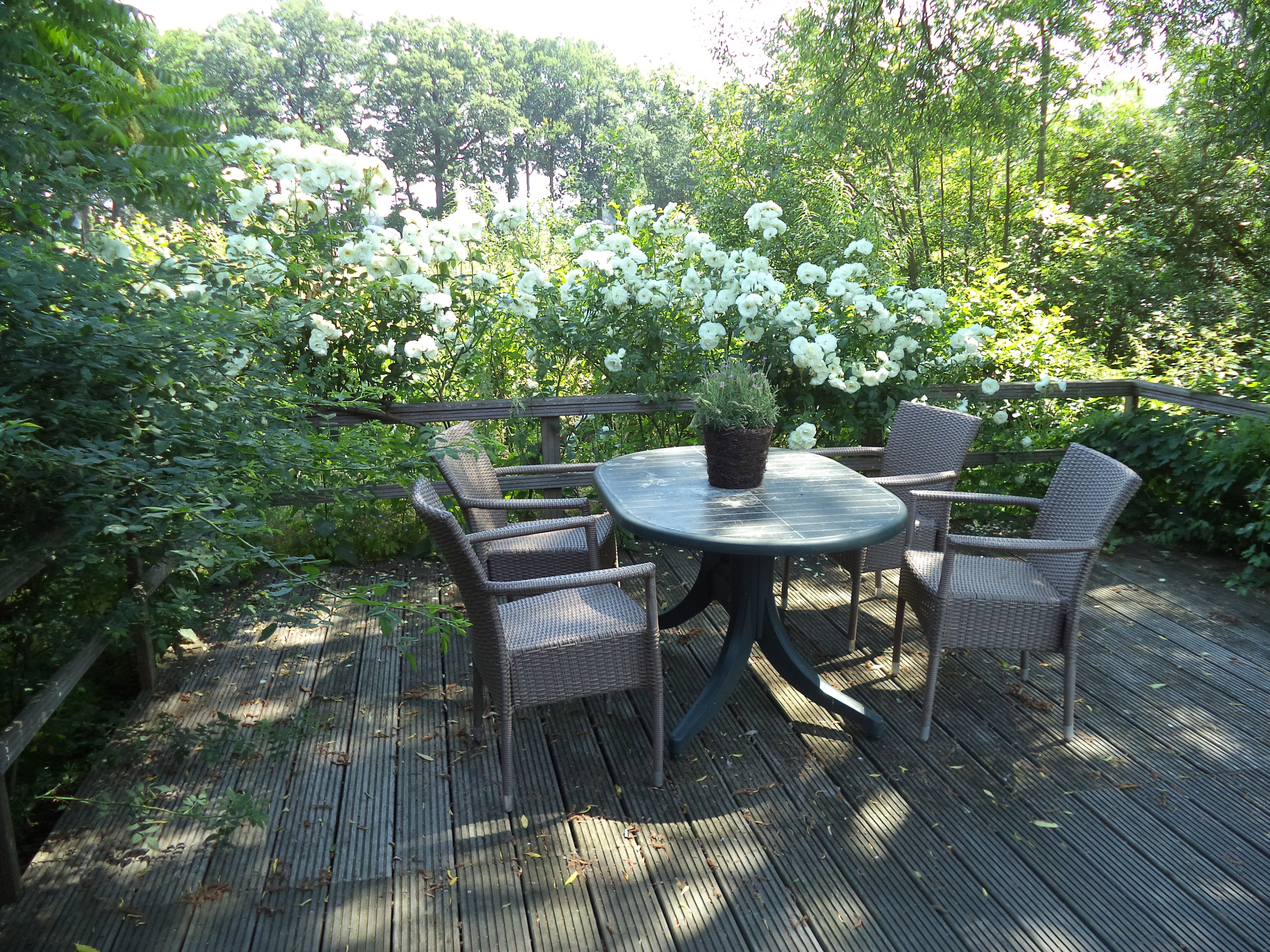 Maison nature à Gelselaar