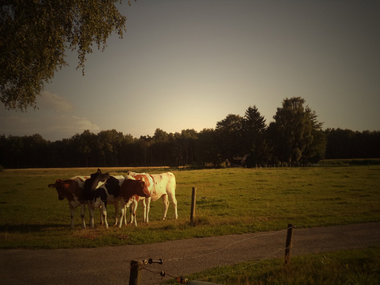 Maison nature à Gelselaar