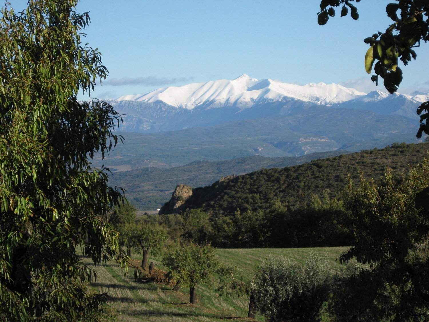 - image: 23