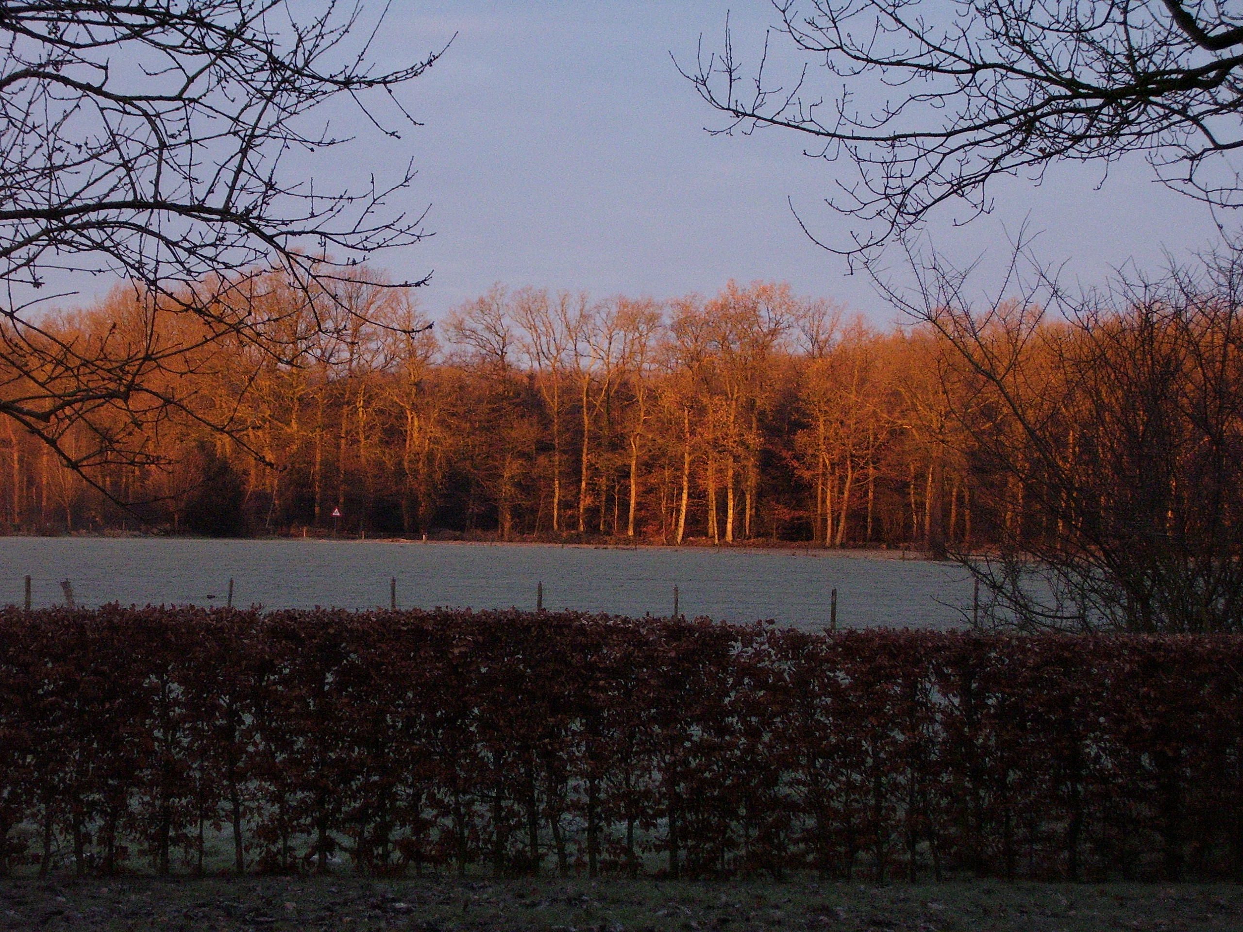 - image: 29
