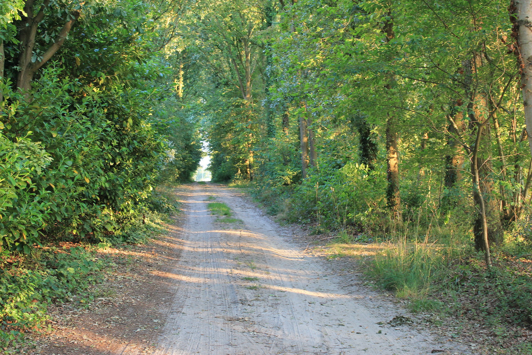 Maison nature à Gieten