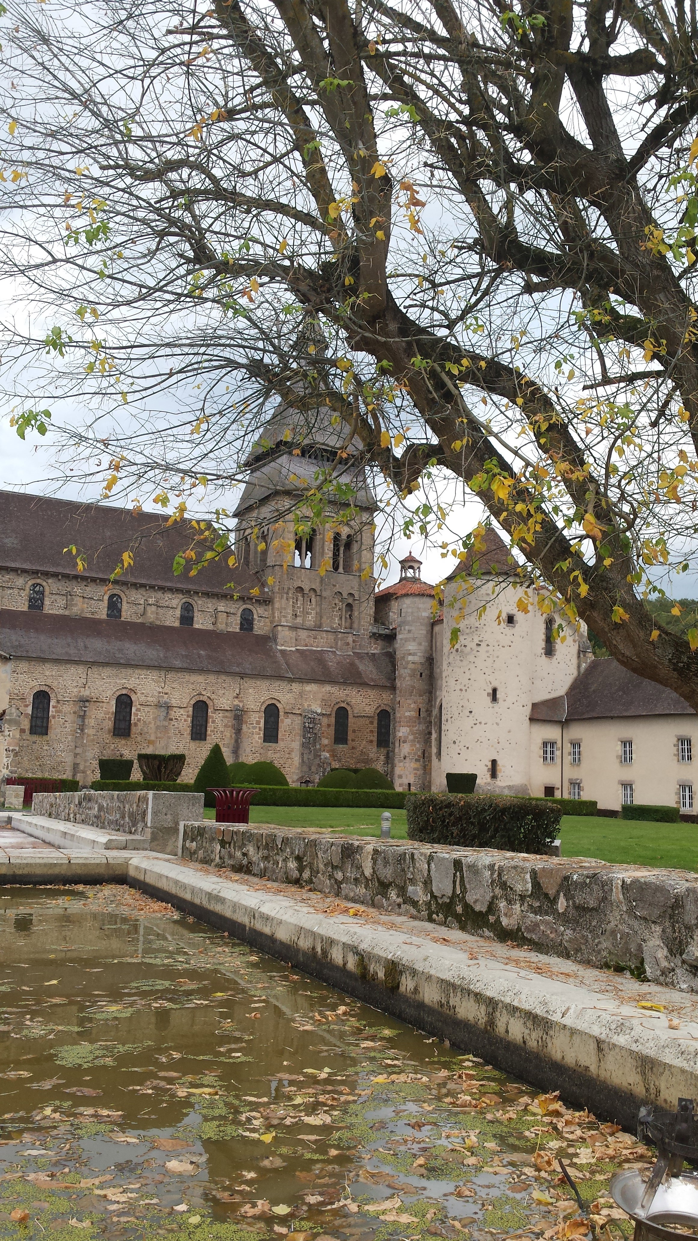 - image: 20