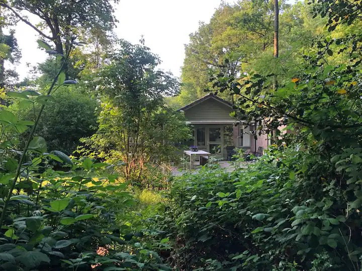 Natuurhuisje in Bakkeveen
