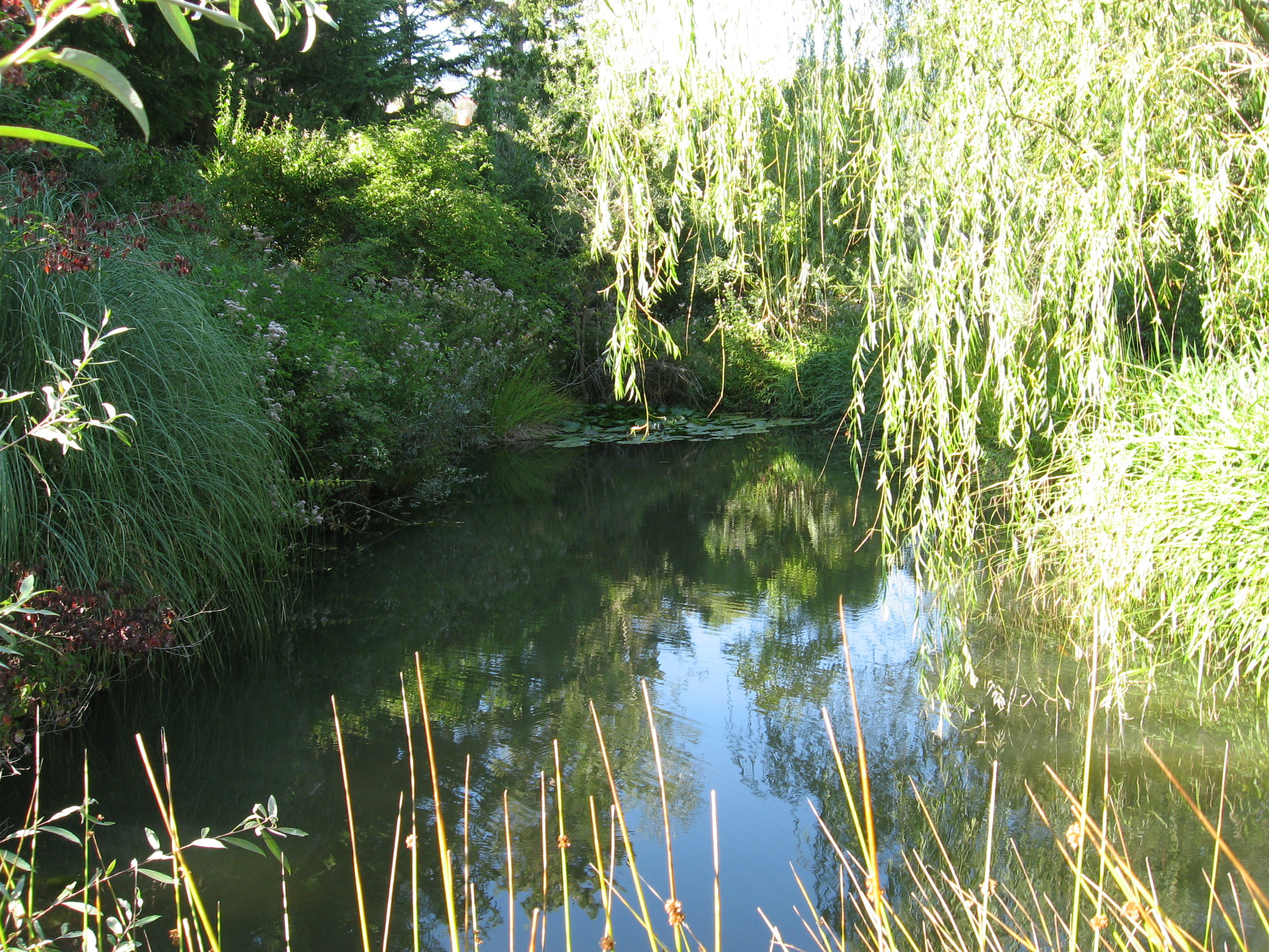 - image: 14