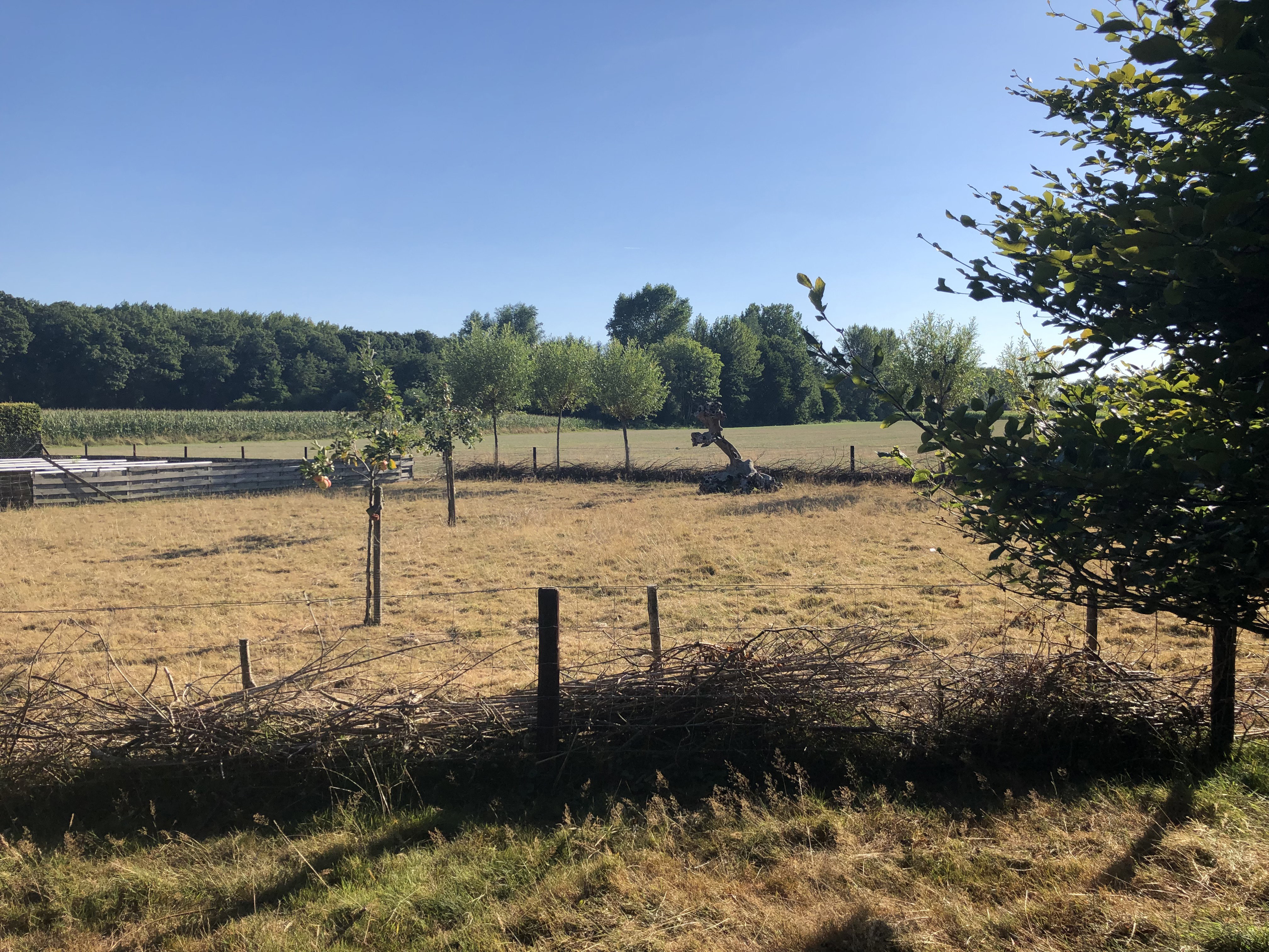 Naturhäuschen in Empe