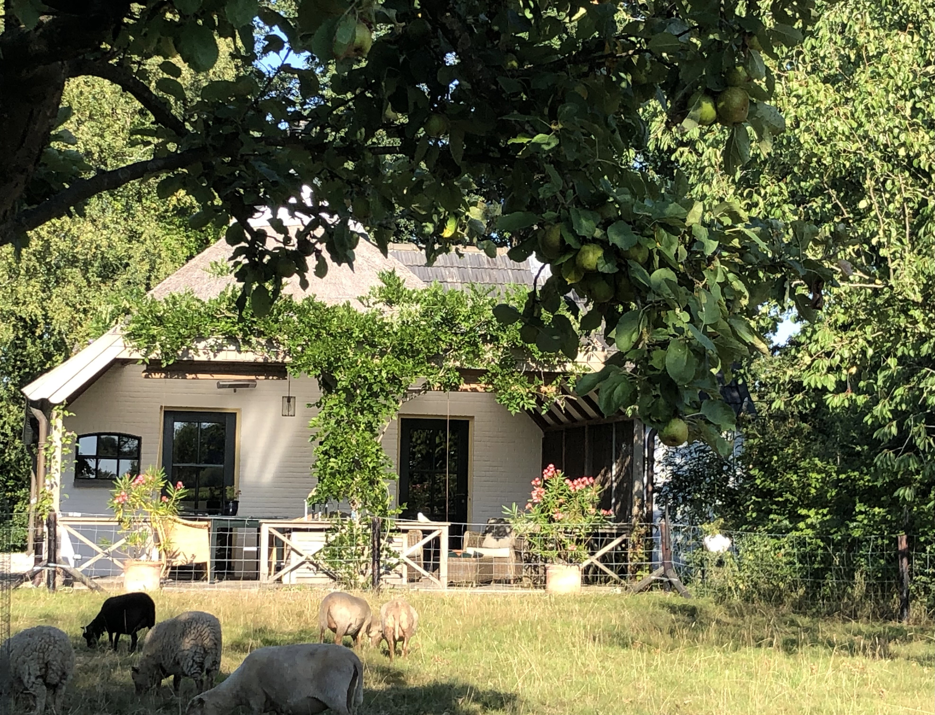 Naturhäuschen in Empe