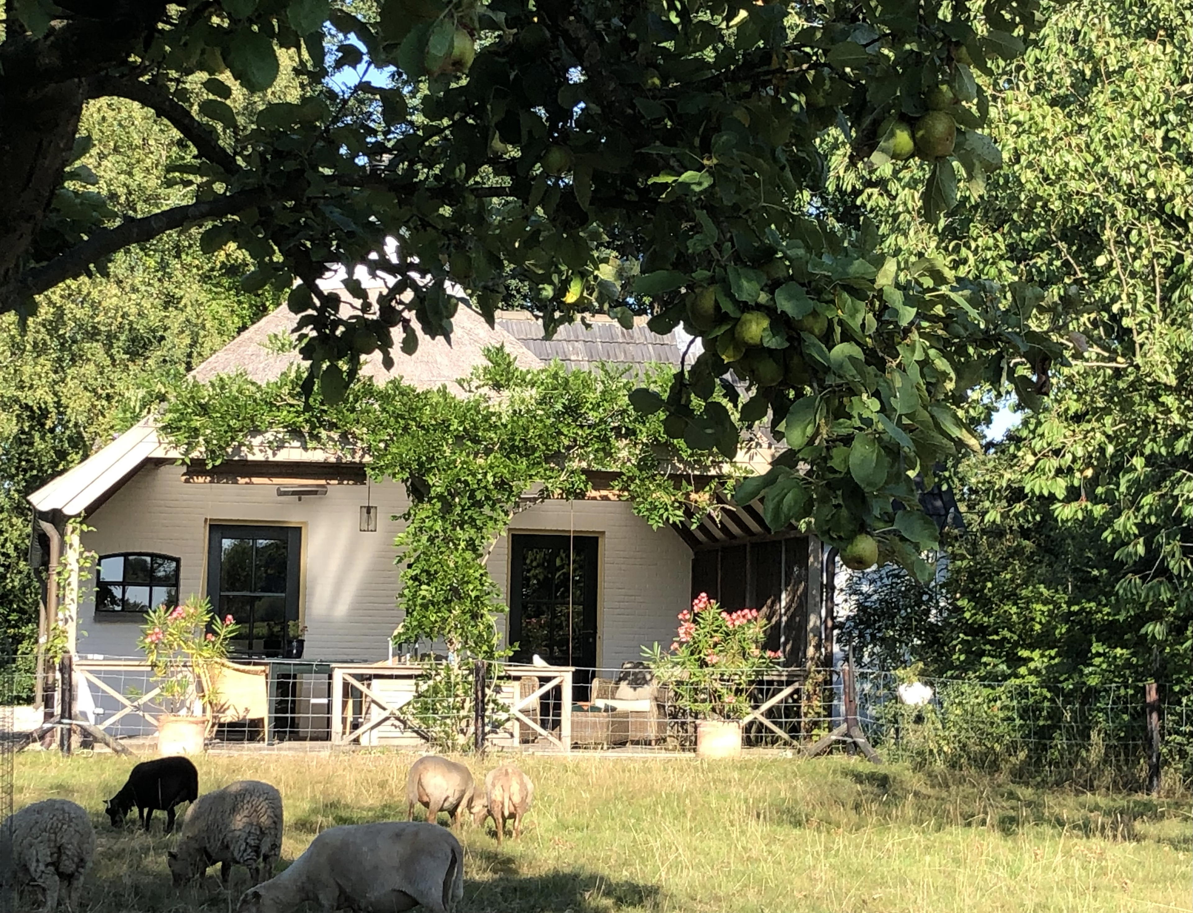 Nature house in Empe