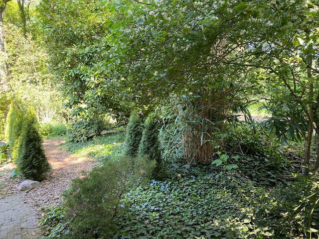 Naturhäuschen in Winterswijk