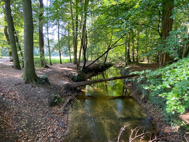 - image: 46