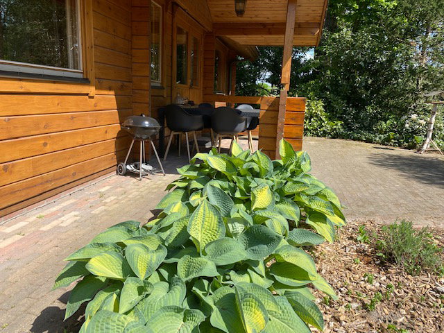 Naturhäuschen in Winterswijk