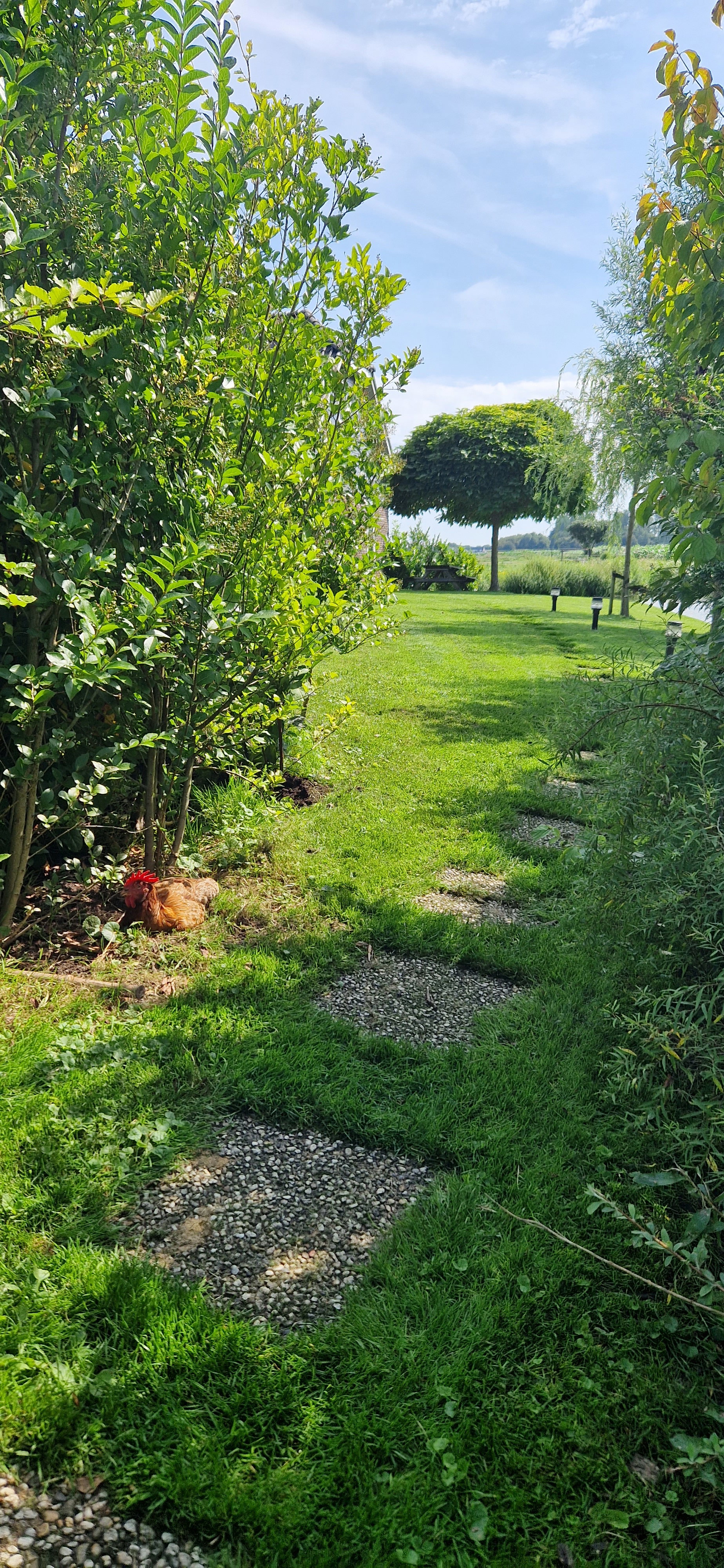 Casa nella natura a Schoonrewoerd