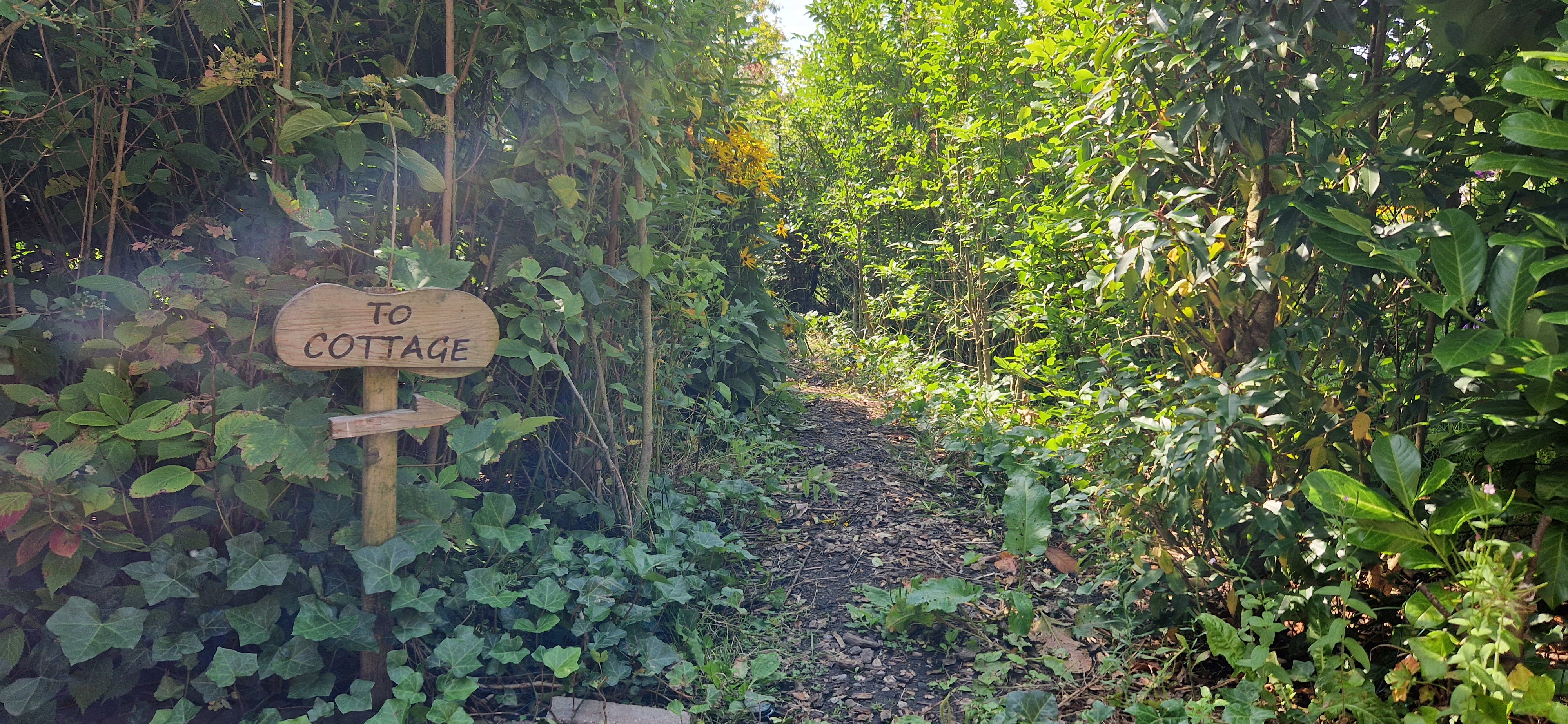 Casa nella natura a Schoonrewoerd