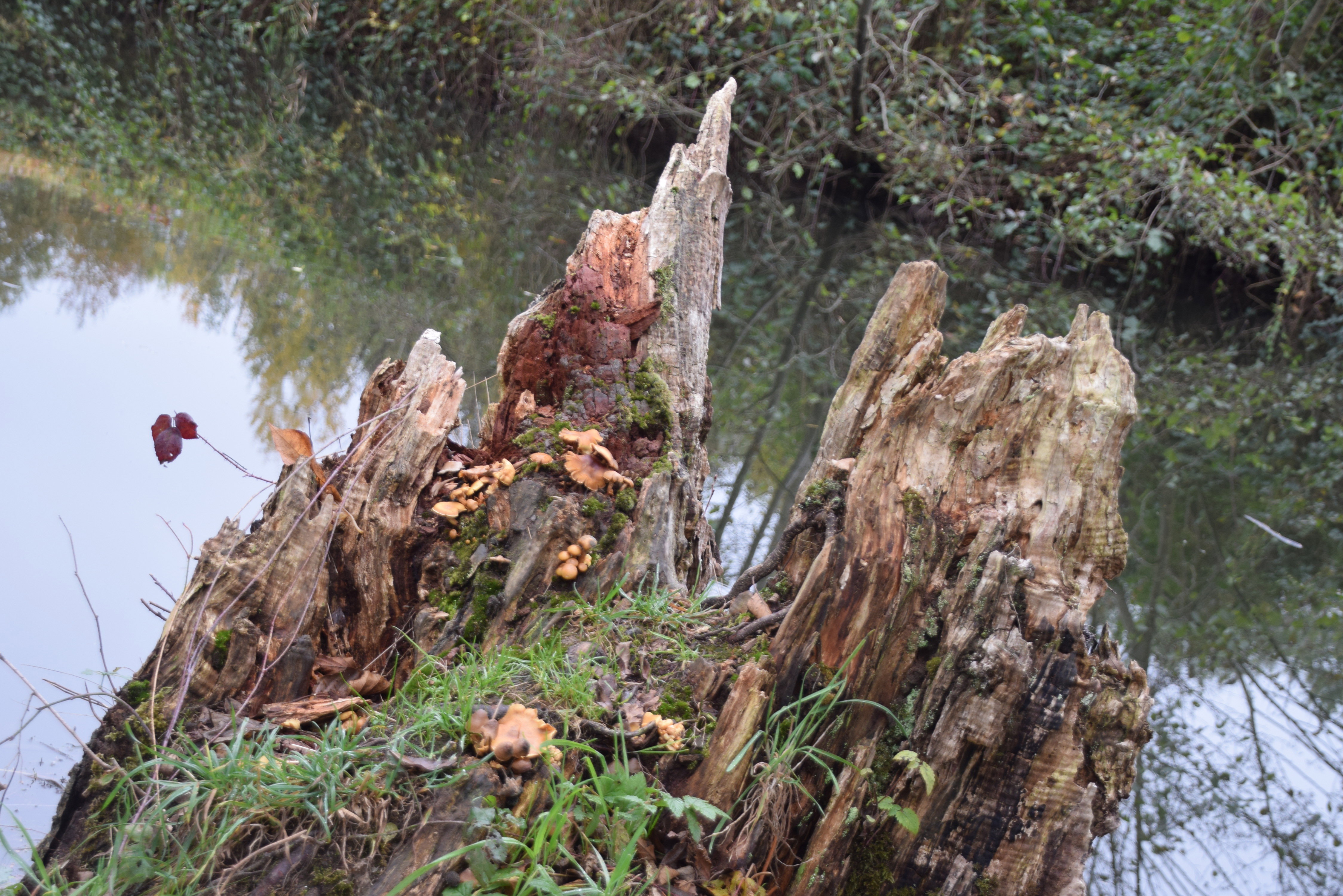 - image: 15