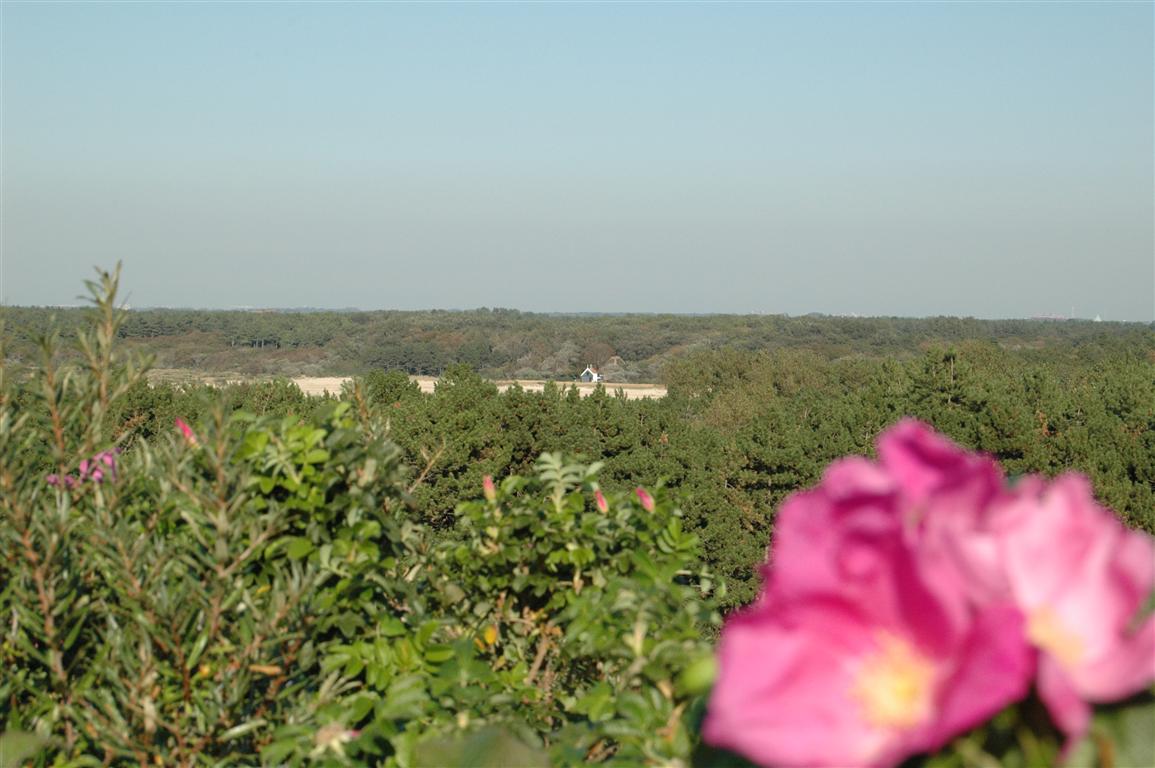 - image: 57