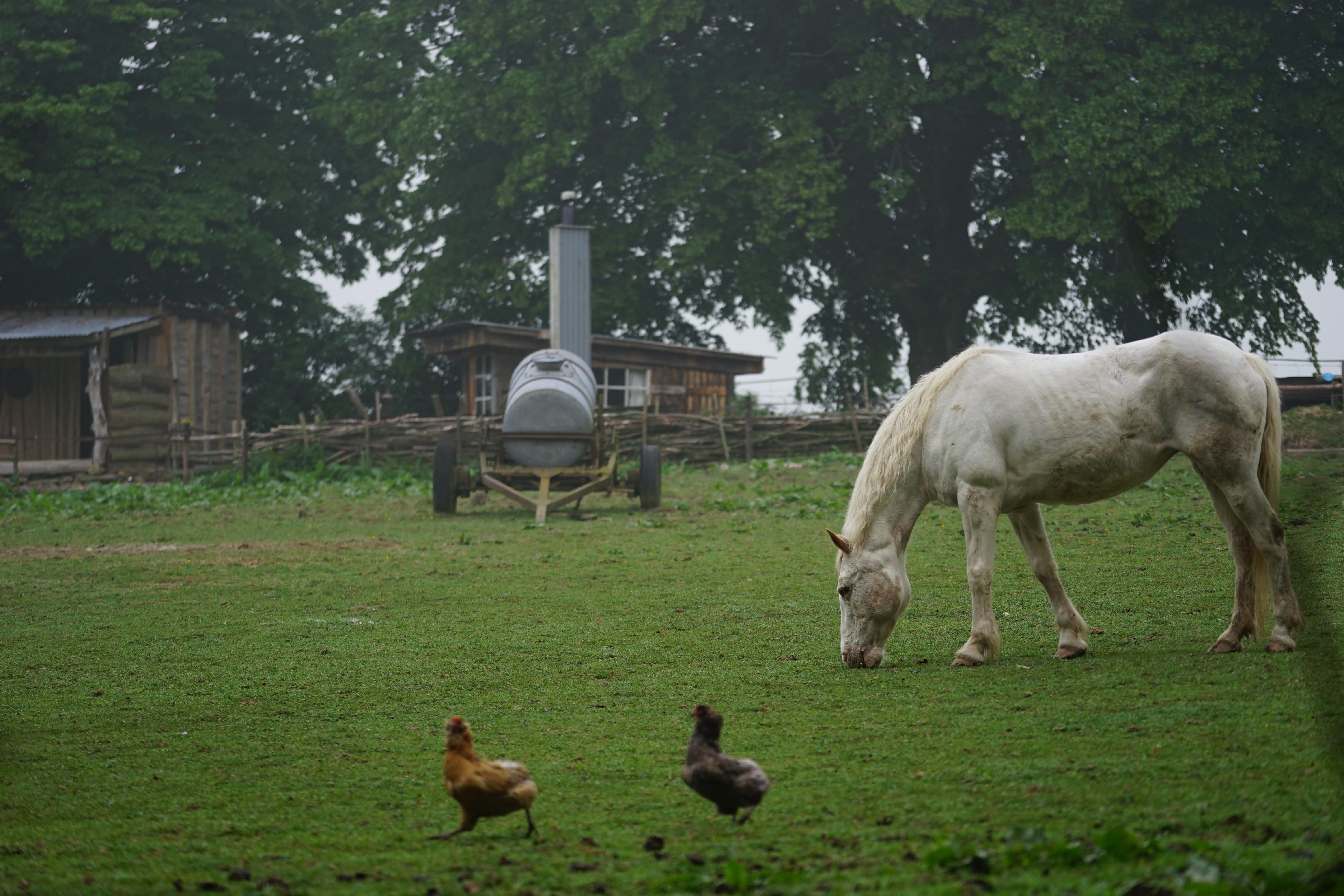 Maison nature à Eteignieres