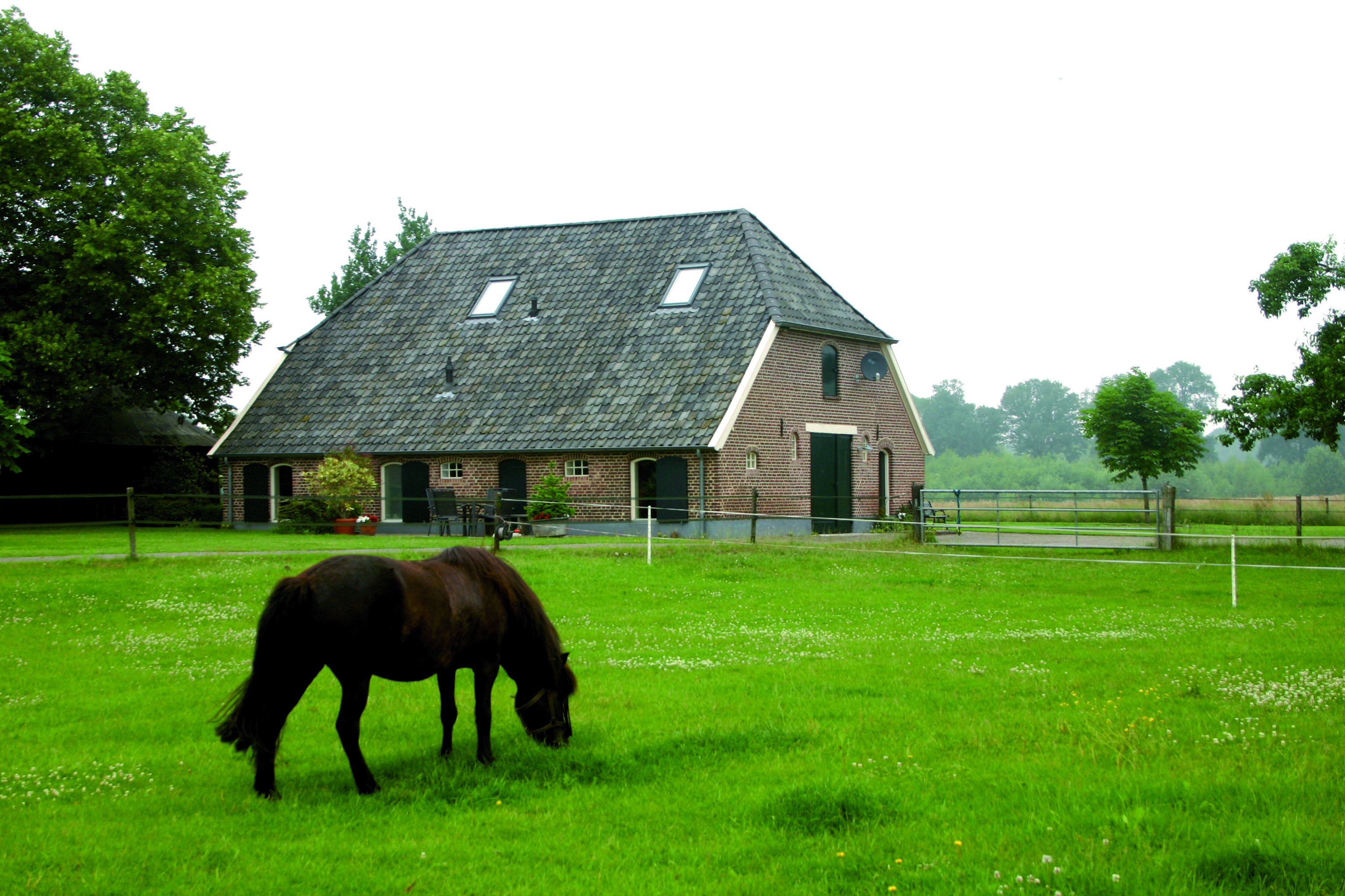 - image: 4