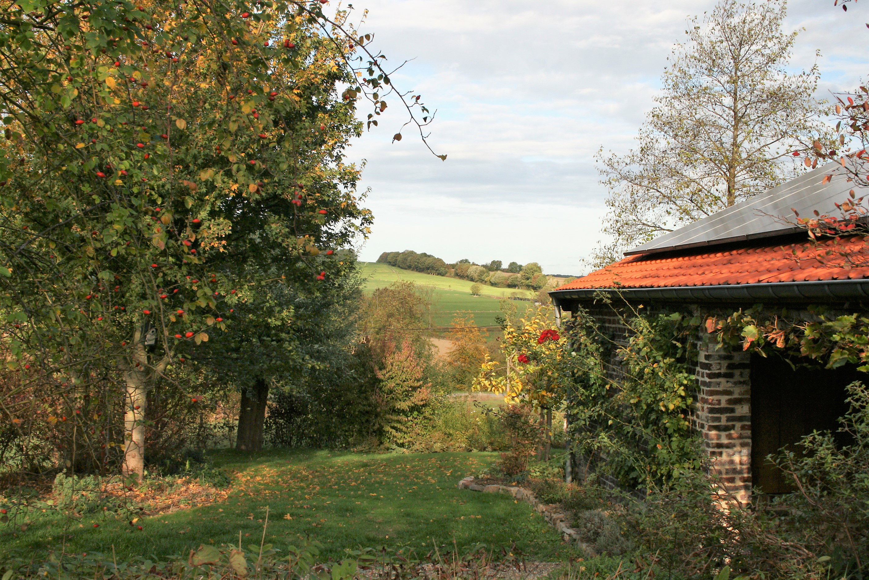 Naturhäuschen in Hombourg