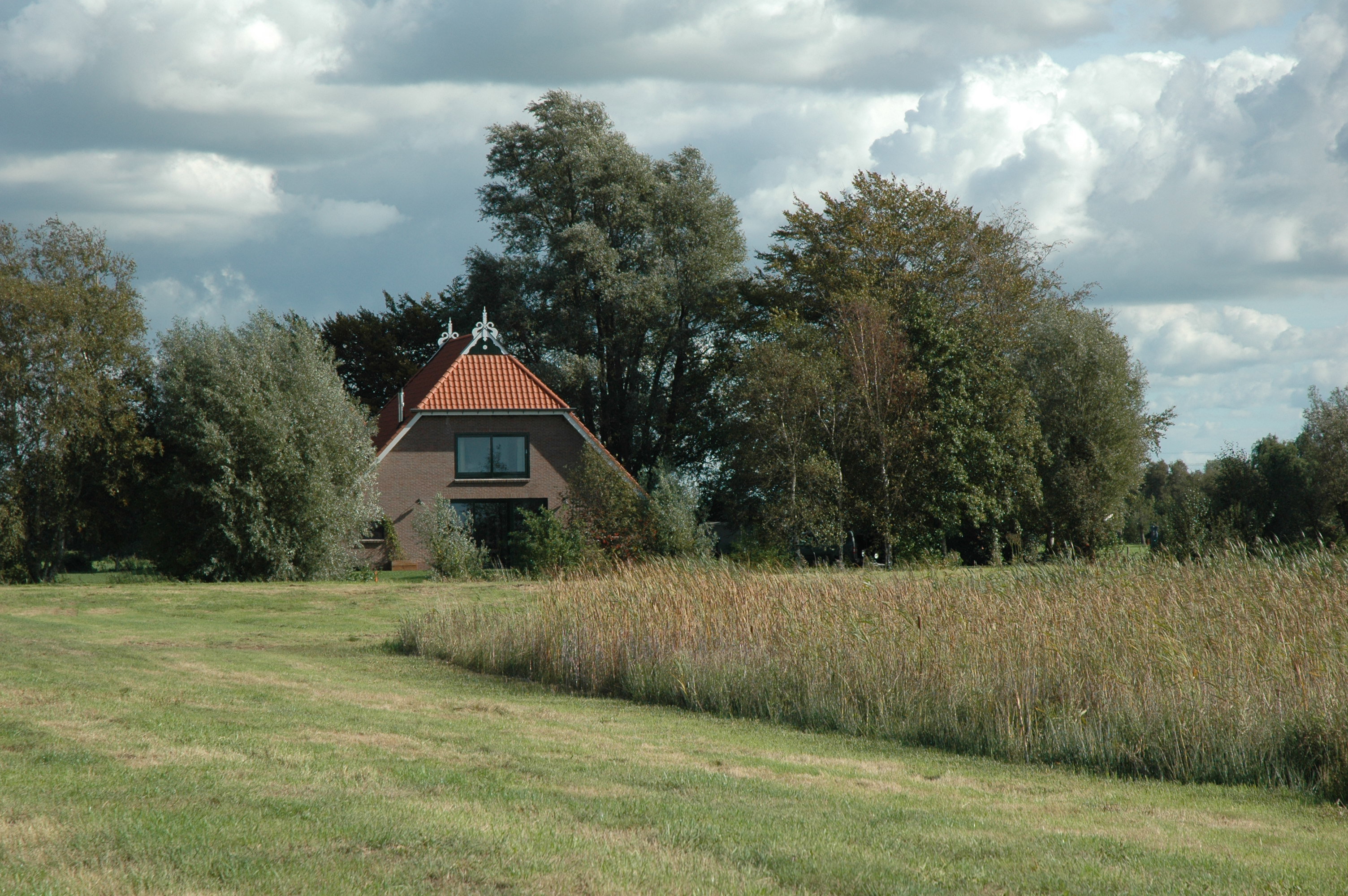 - image: 26