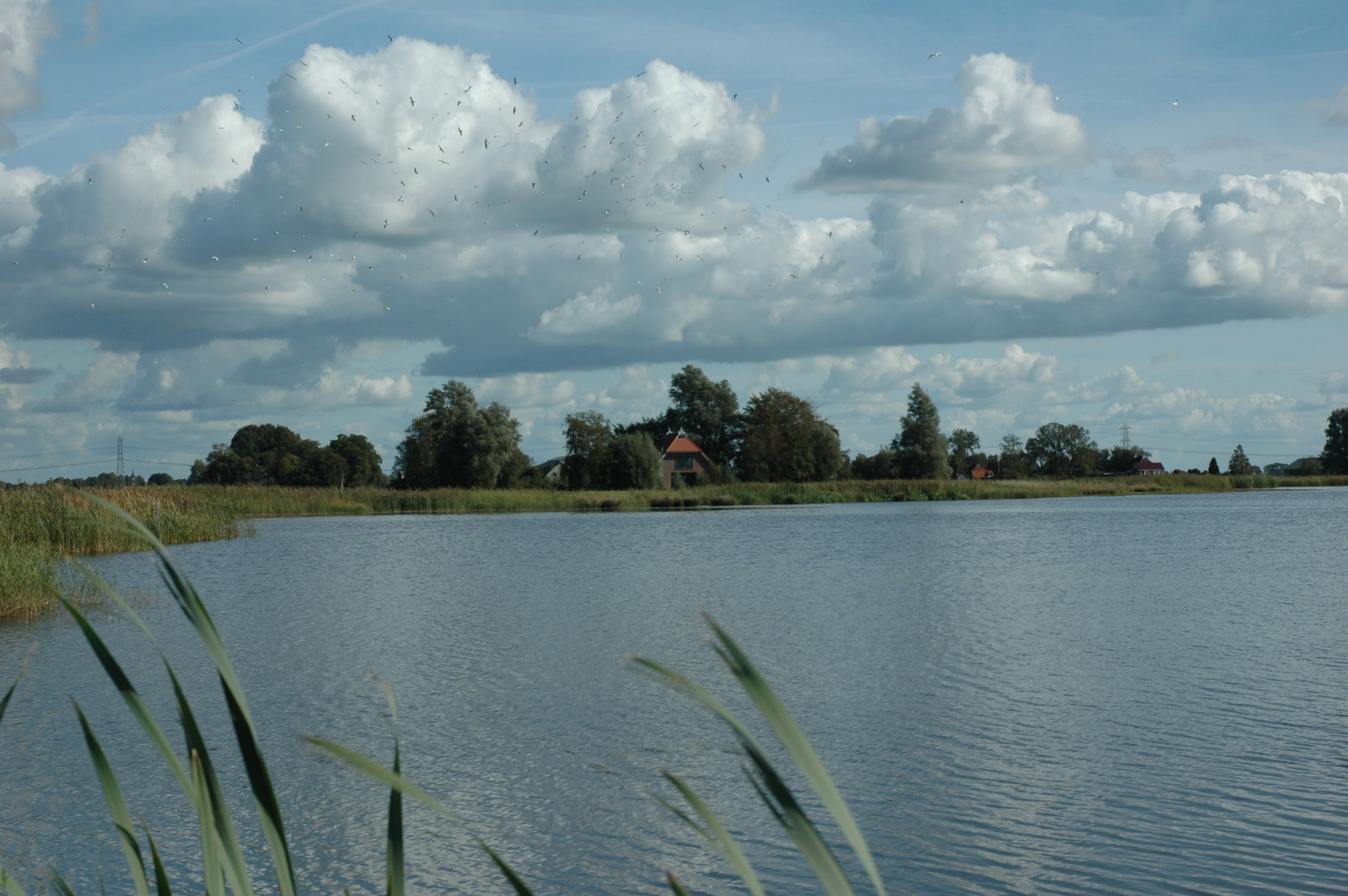 - image: 28