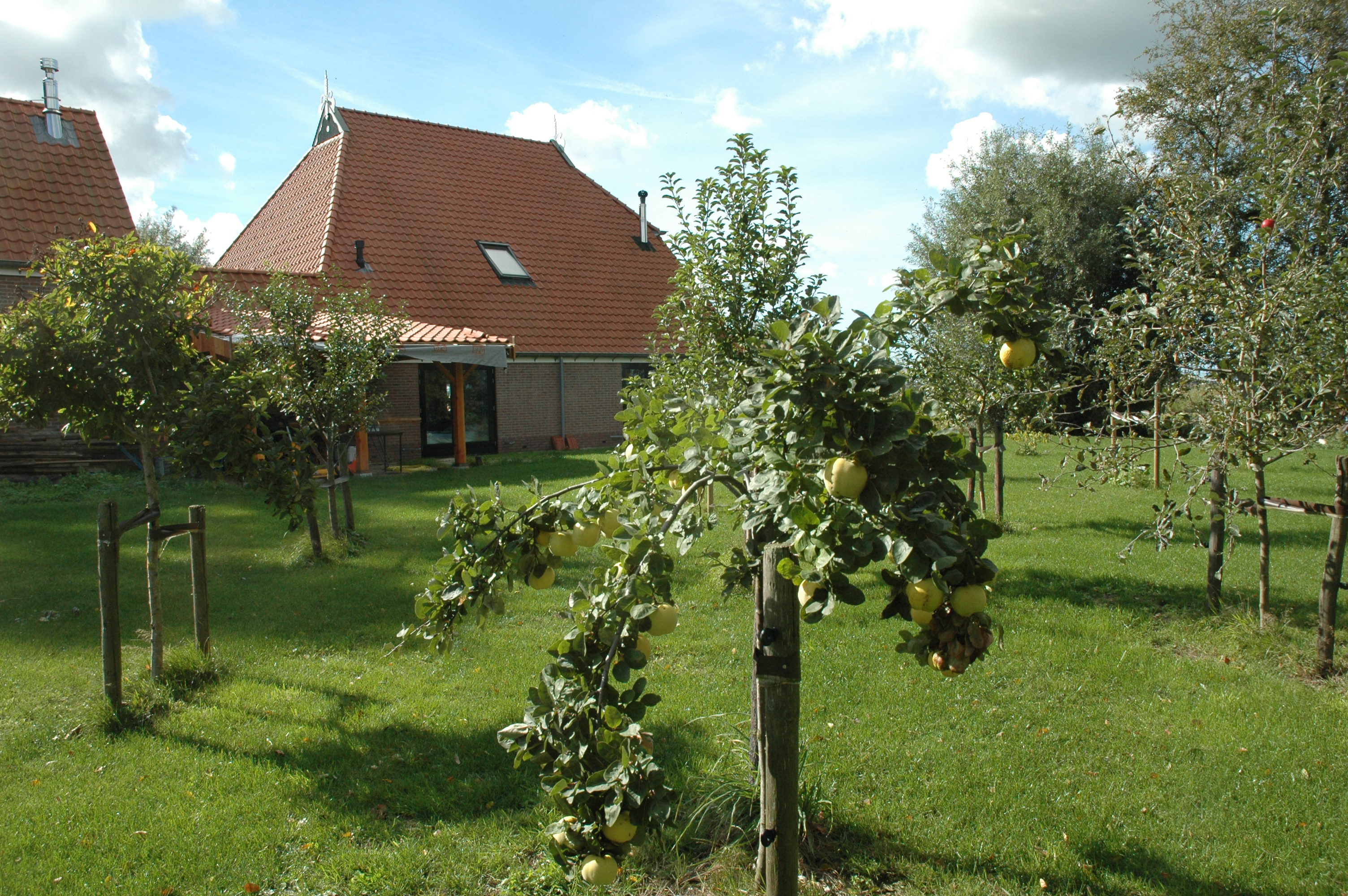- image: 23
