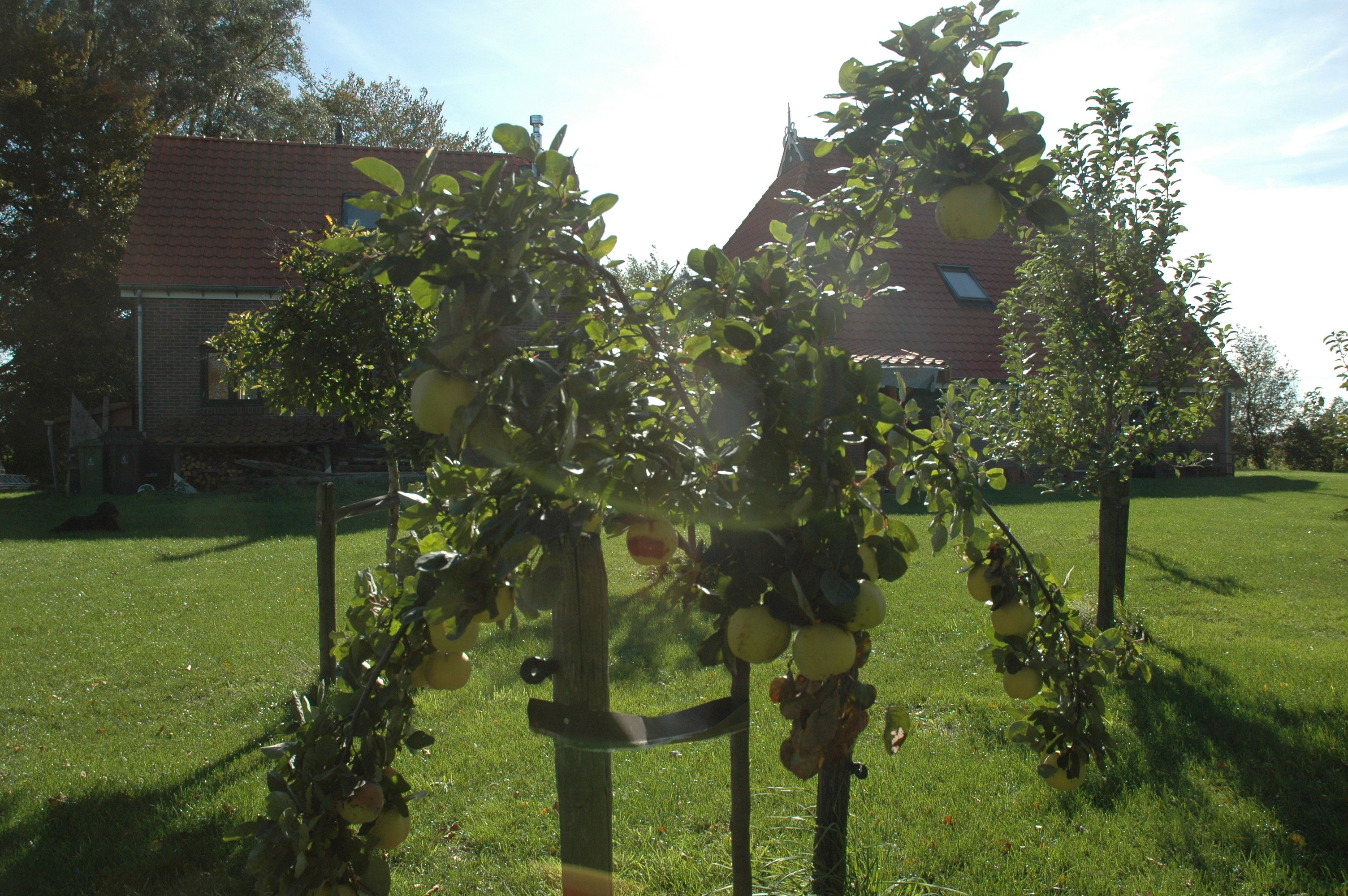 - image: 22
