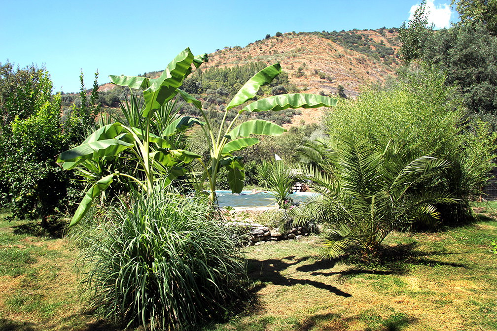 Nature house in Bayacas, Órgiva