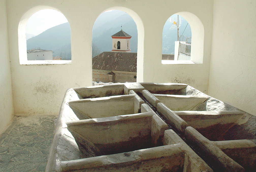 - image: 13