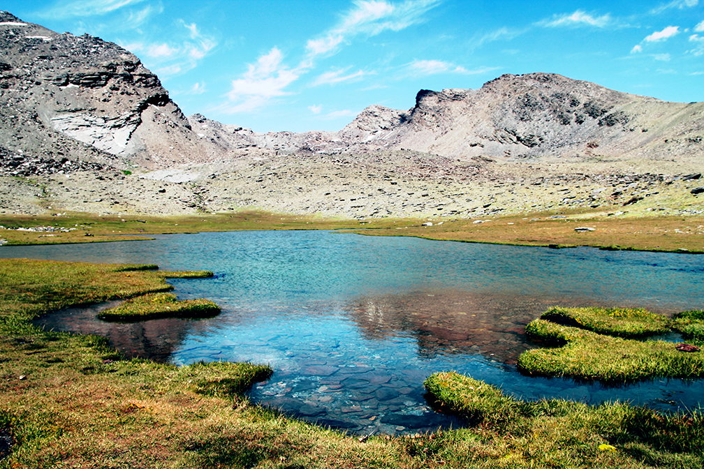 - image: 14