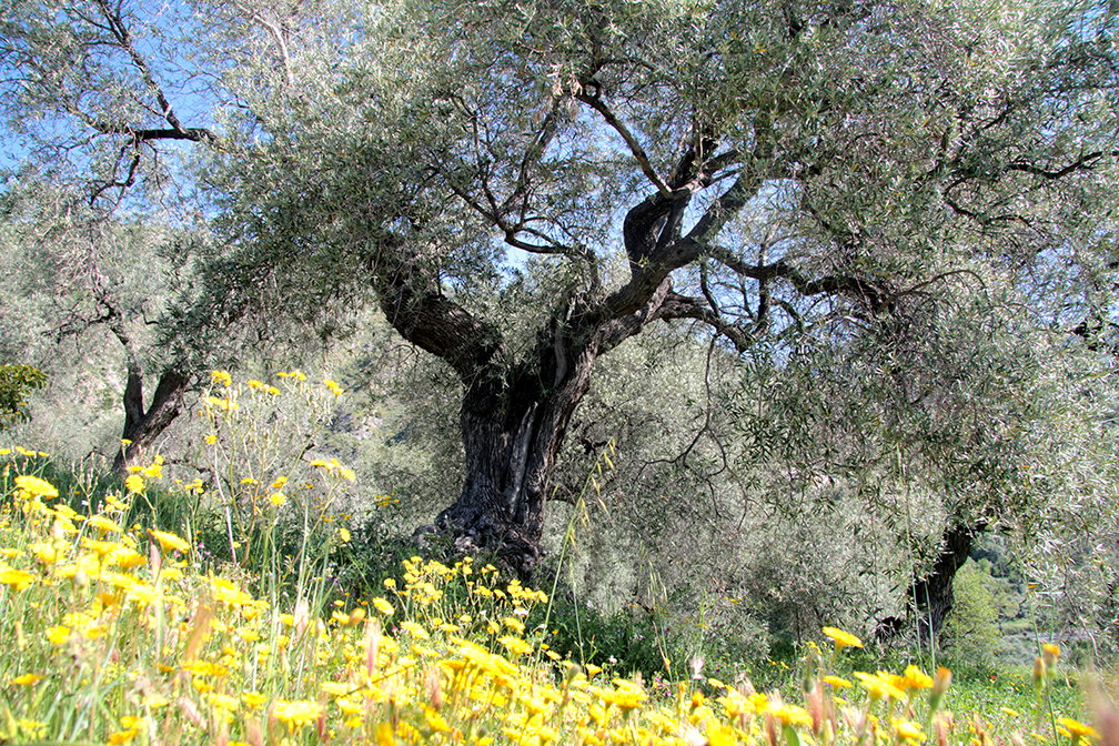 Nature house in Bayacas, Órgiva