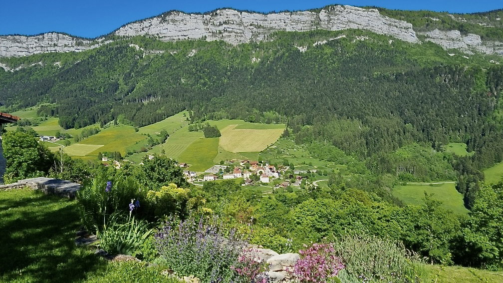 - image: 14