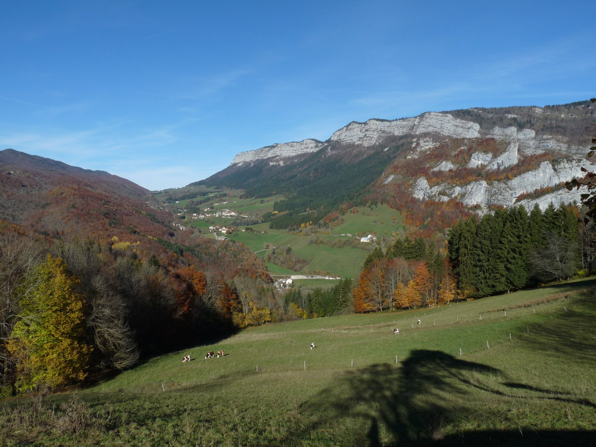- image: 73