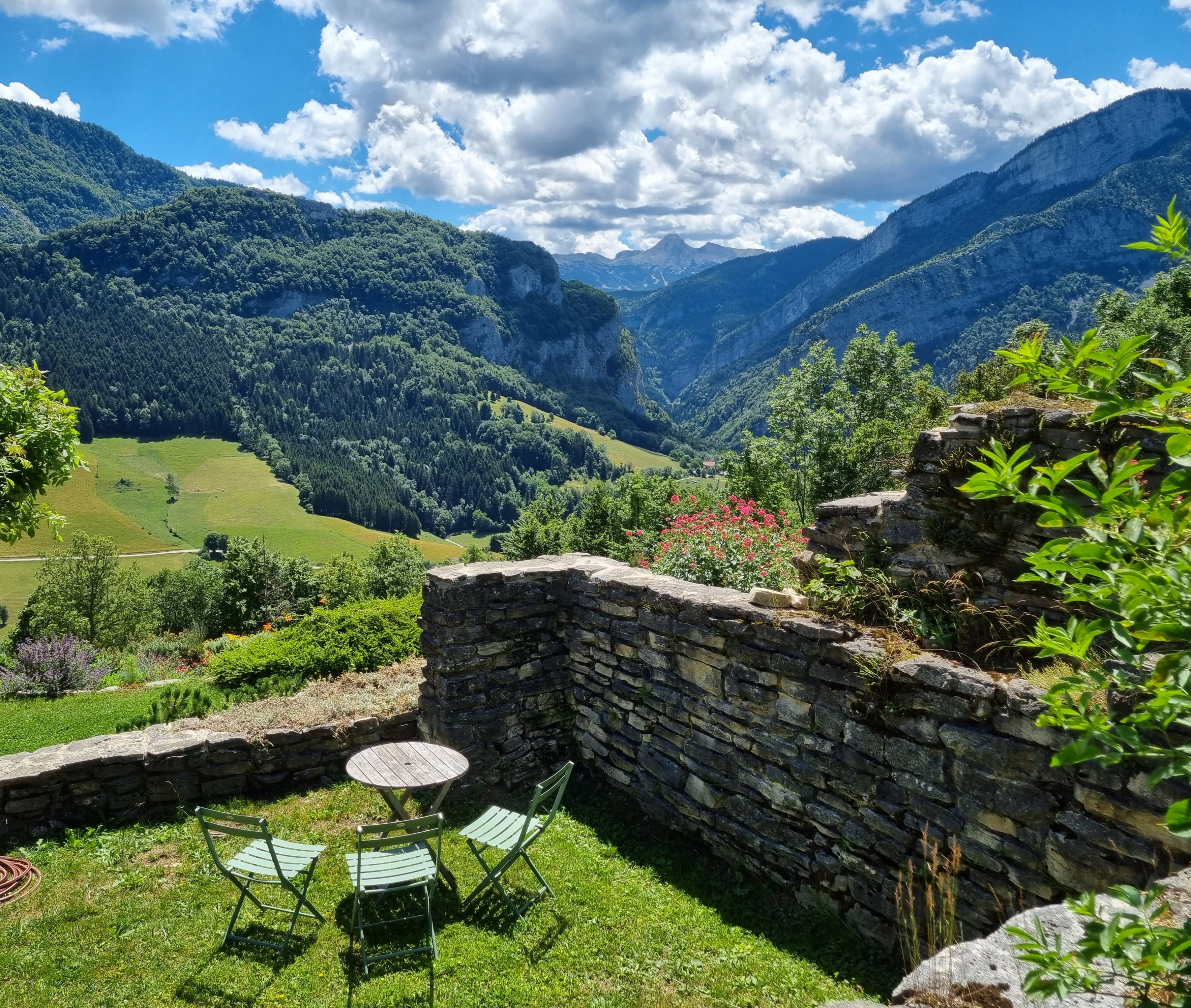 - image: 41