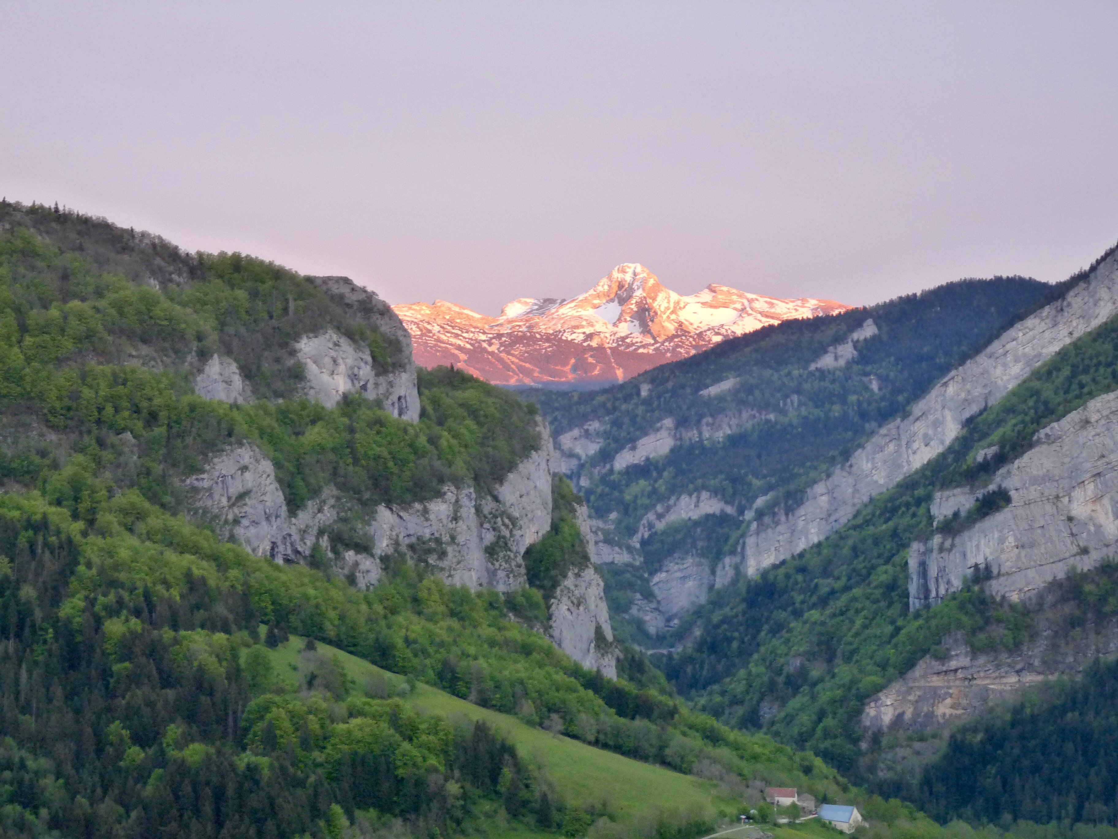 - image: 68