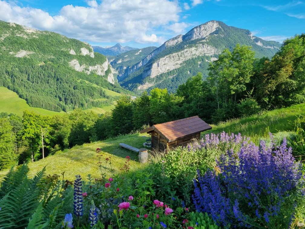 - image: 15