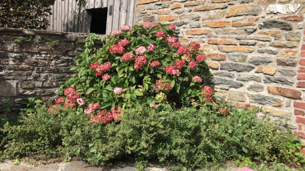 Naturhäuschen in Waimes/Weismes (Libômont)