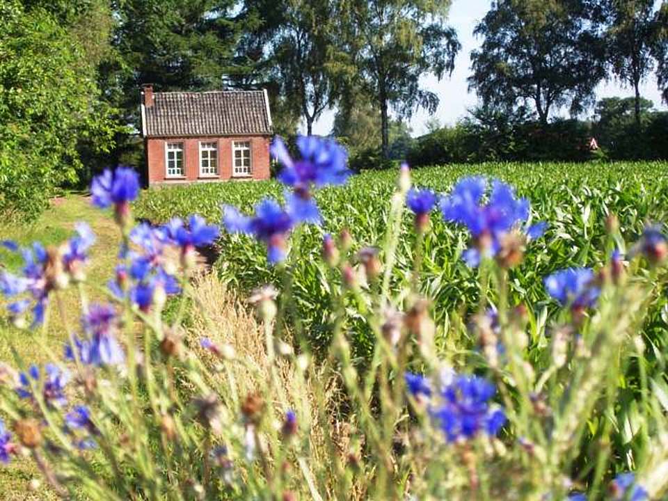 Naturhäuschen in Aalten