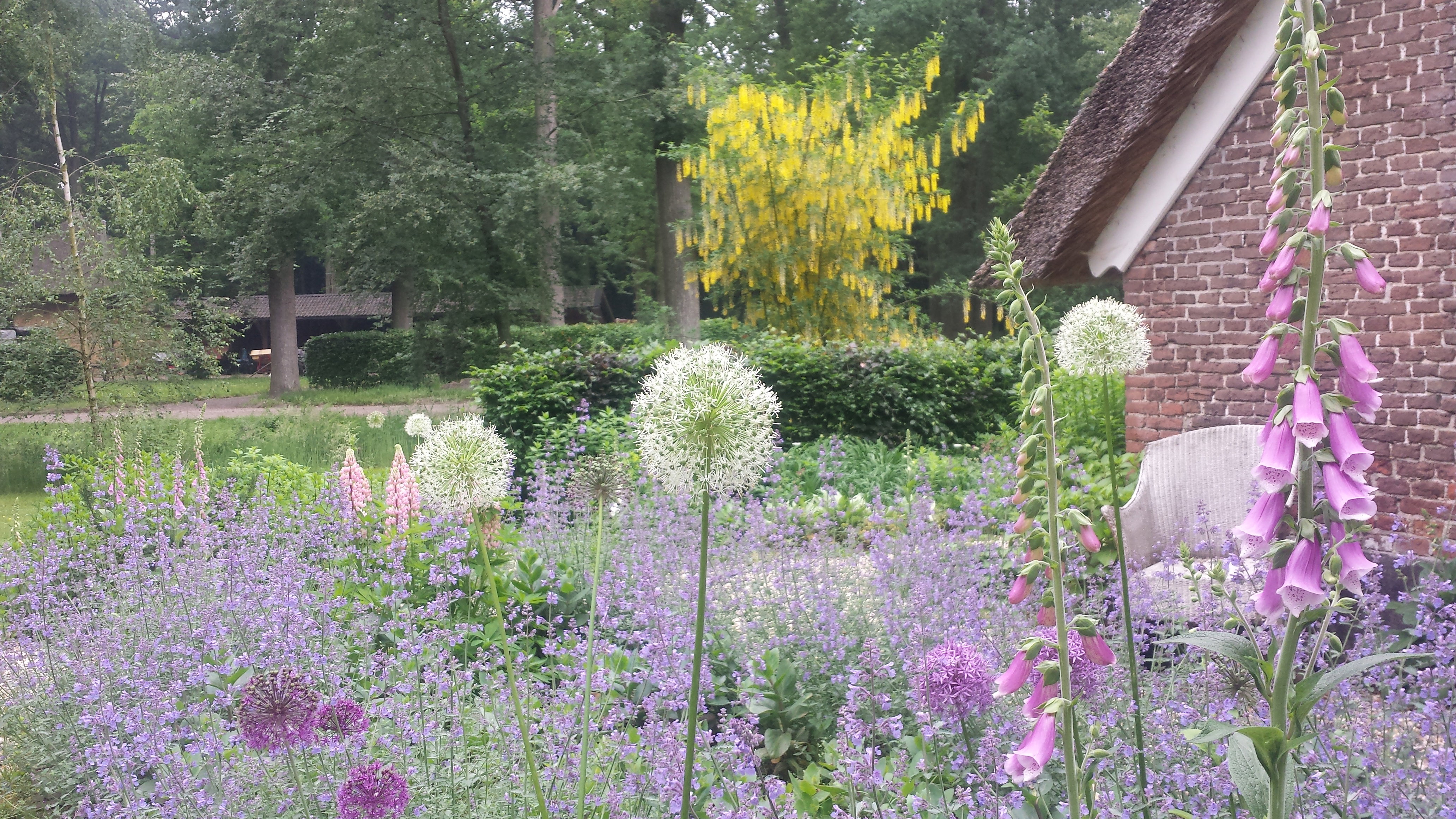 Naturhäuschen in Heerde