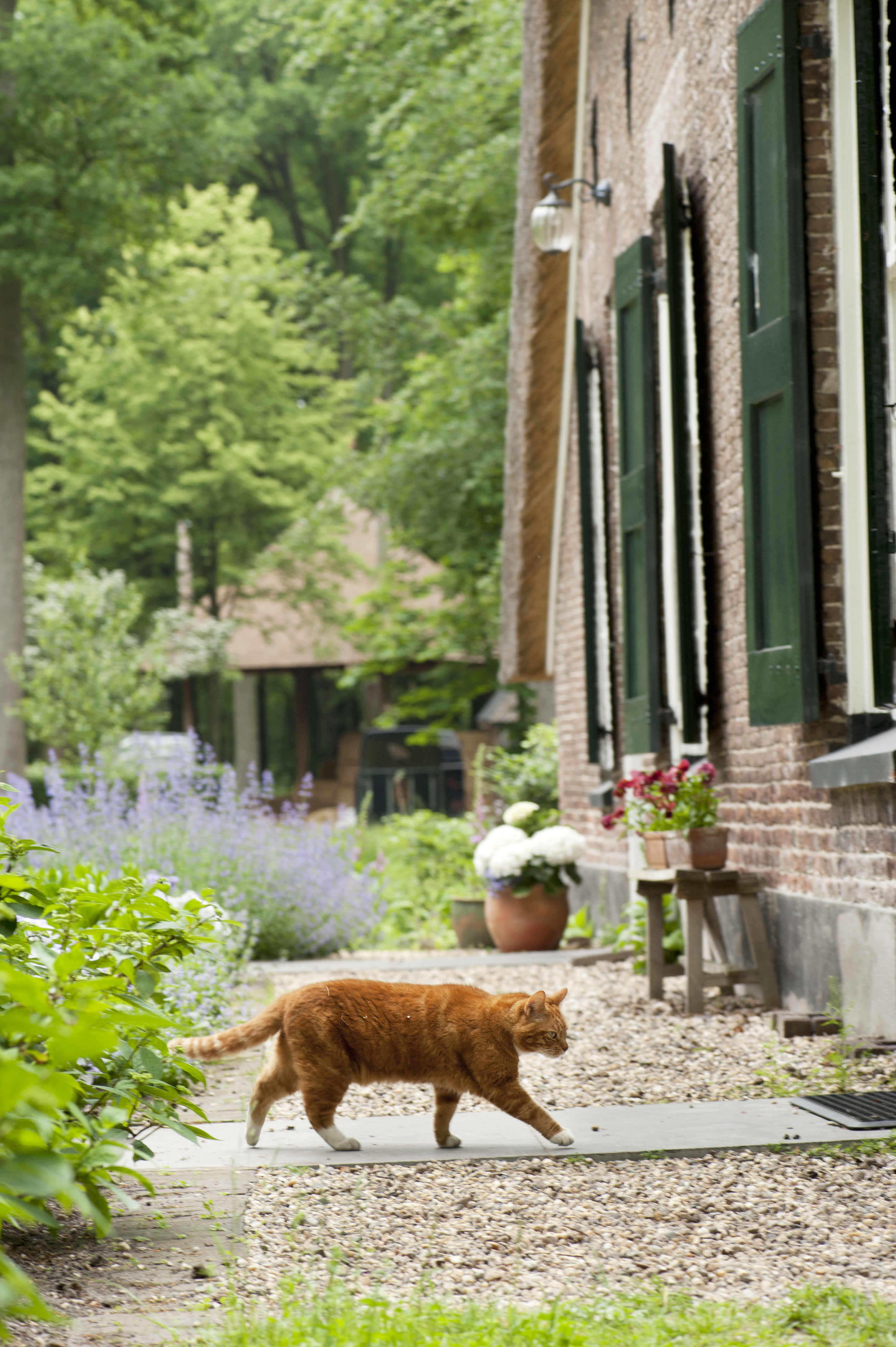 Naturhäuschen in Heerde