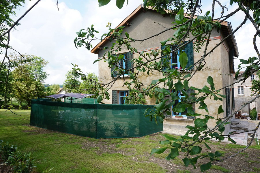 - image: 1