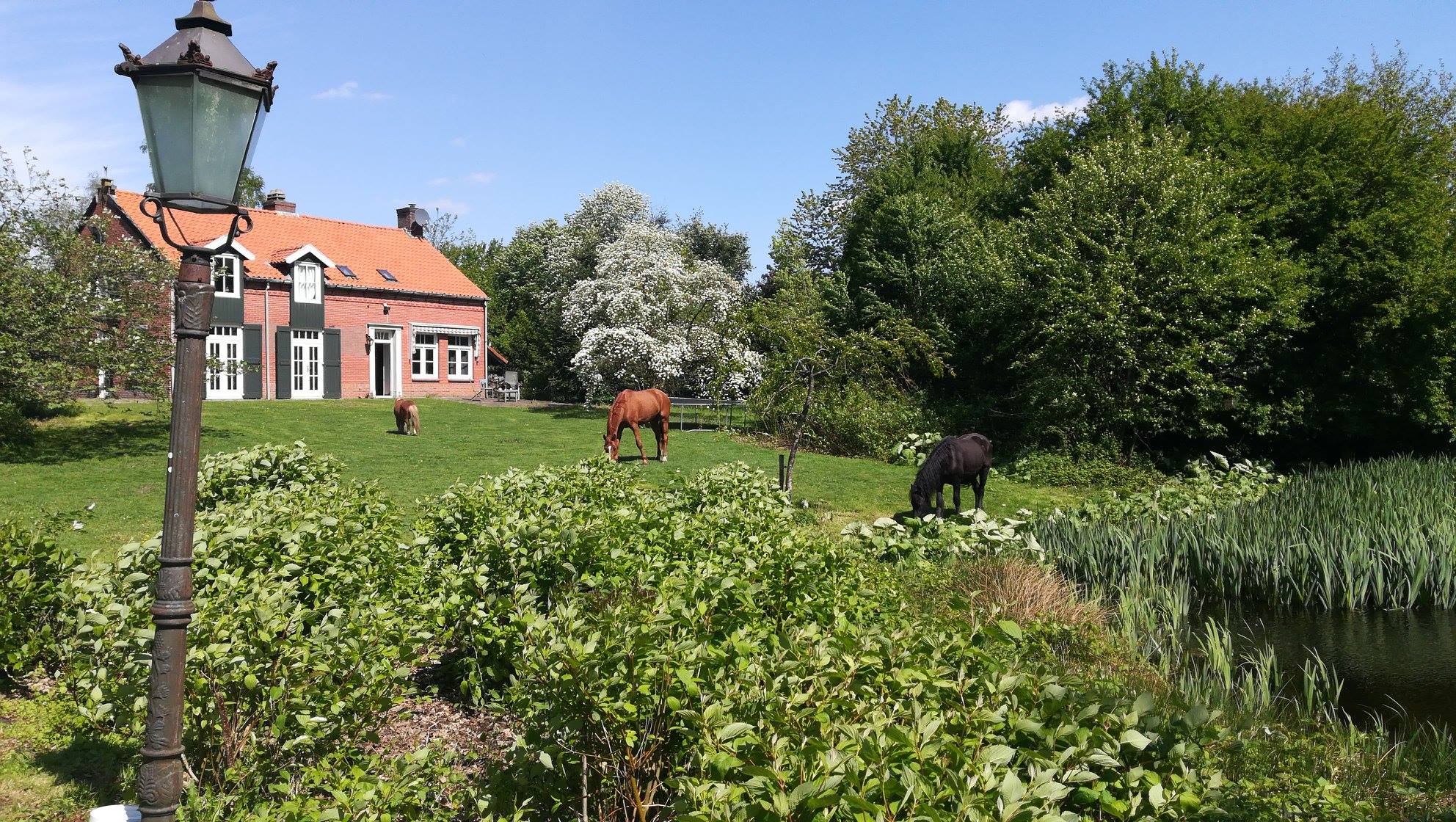 Natuurhuisje in Wouwse Plantage