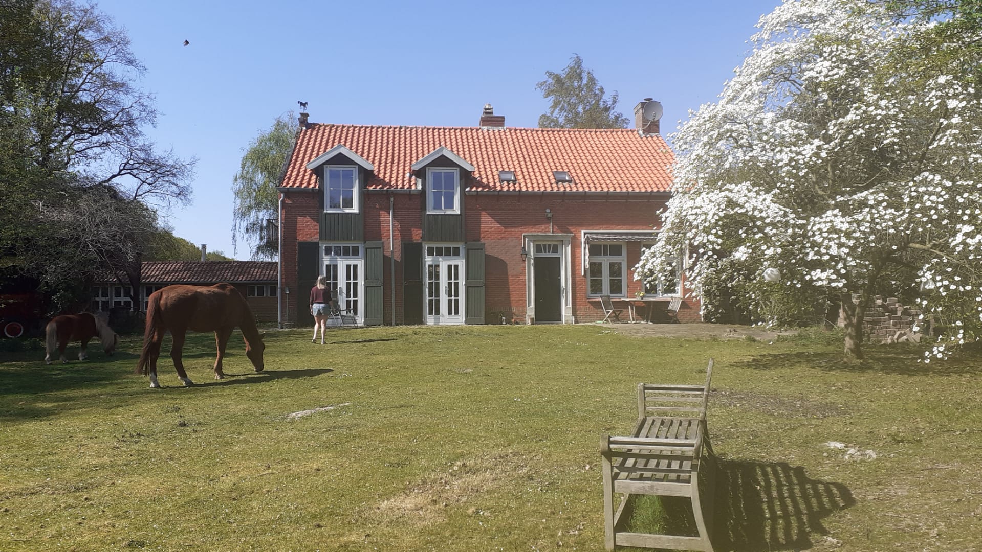 Natuurhuisje in Wouwse Plantage