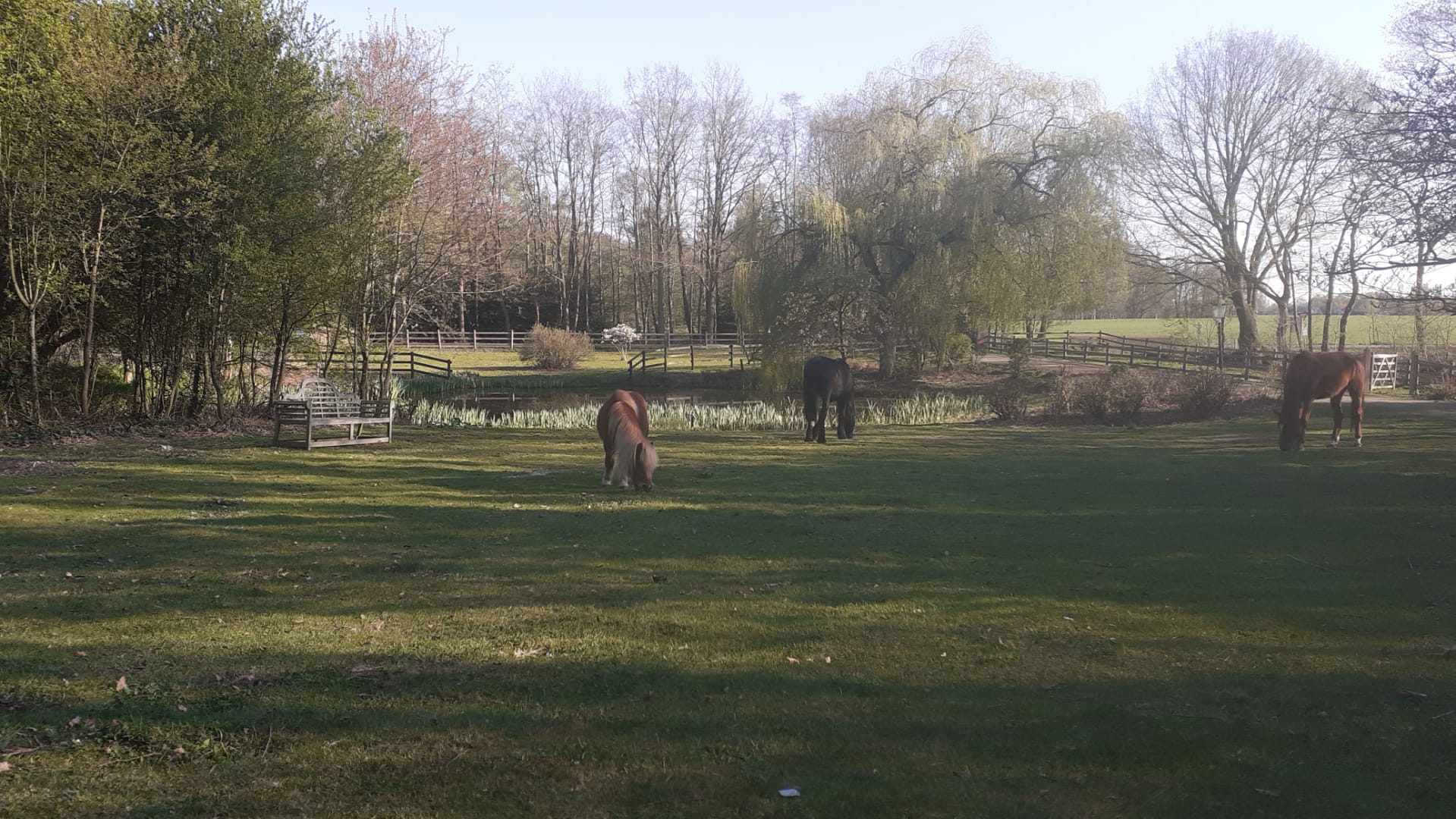 Natuurhuisje in Wouwse Plantage