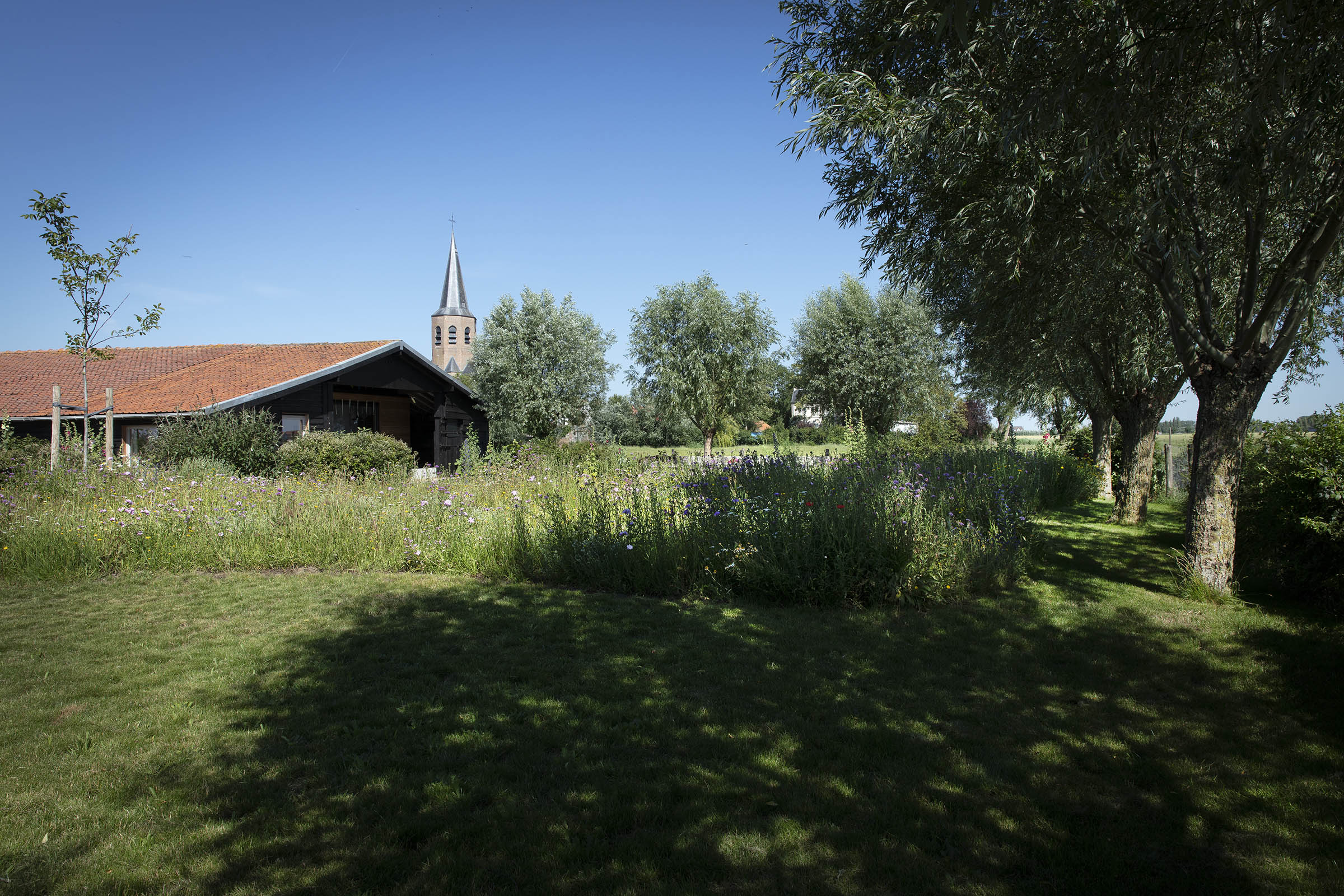 - image: 22